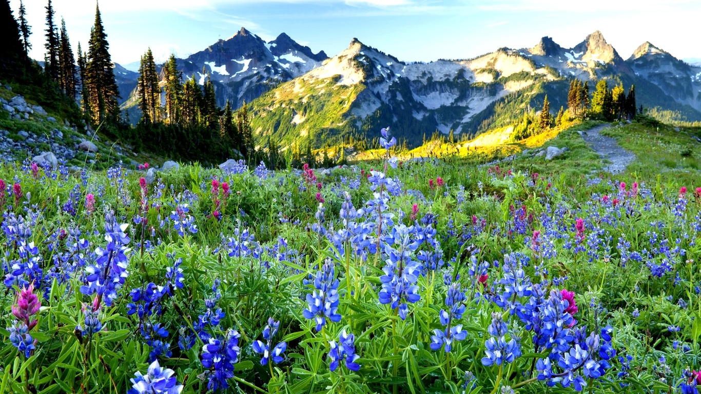 sky, grass, trees, landscape, flowers, mountains, nature, spring