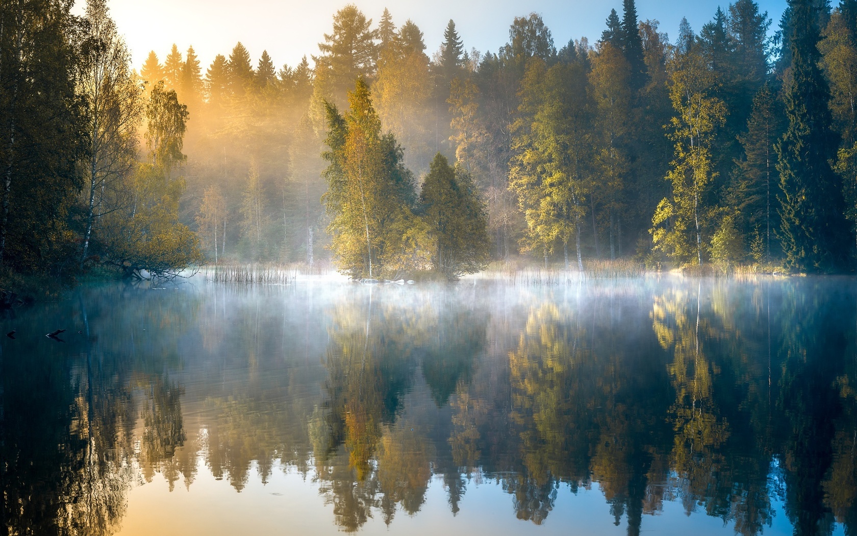 forest, autumn, dawn, finland, lake, trees, fog, reflection, morning