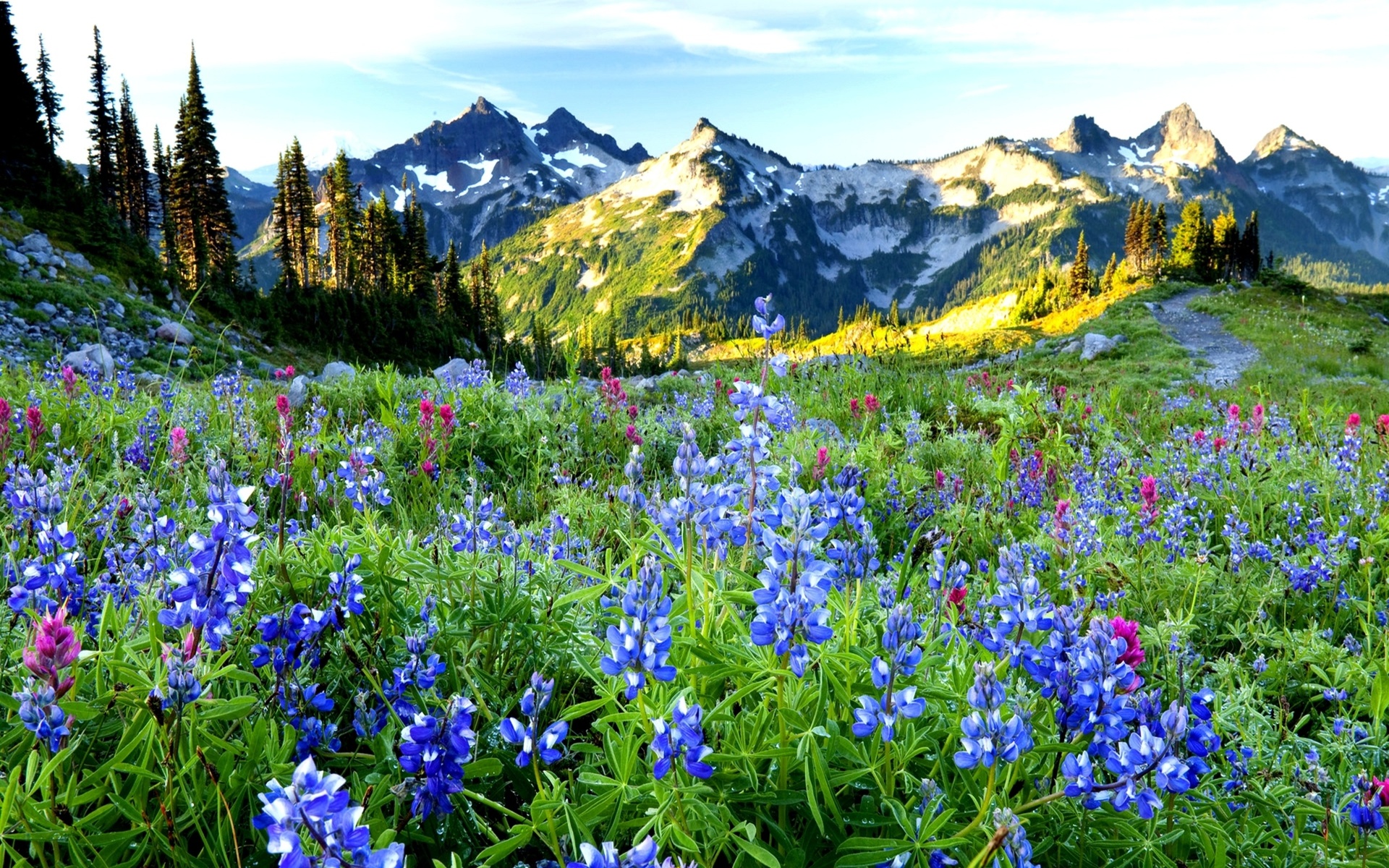 sky, grass, trees, landscape, flowers, mountains, nature, spring