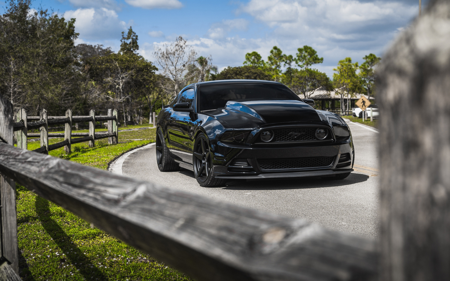 mustang, ford, gt500, sky, green, black, roush, sight