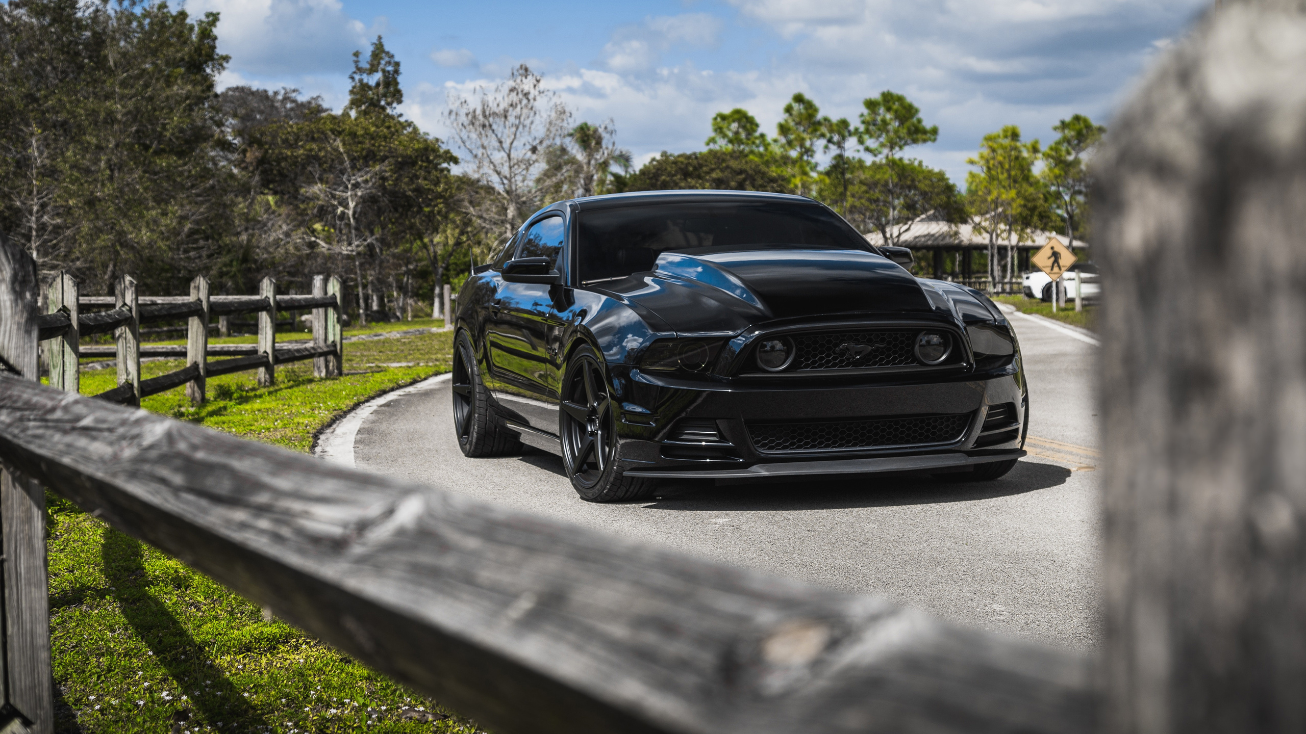 mustang, ford, gt500, sky, green, black, roush, sight