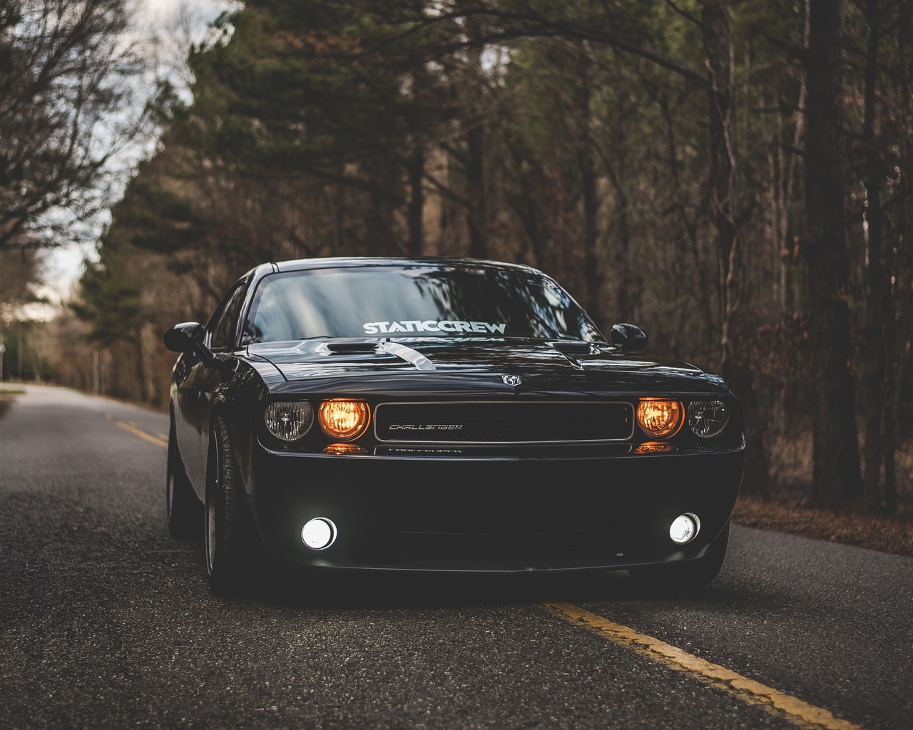 dodge, challenger, front view, black sports coupe