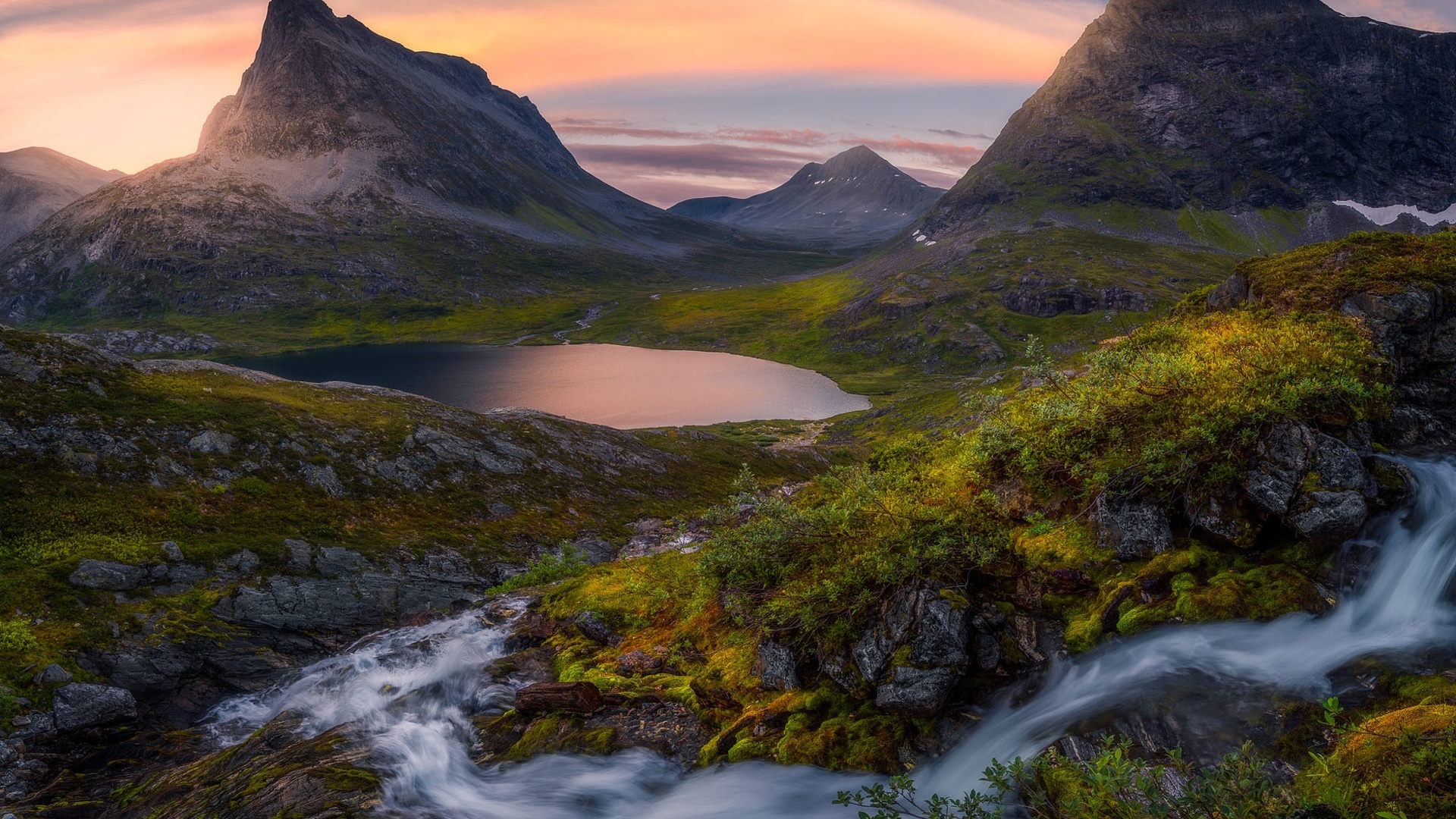 , , , , , , , , ole henrik skjelstad