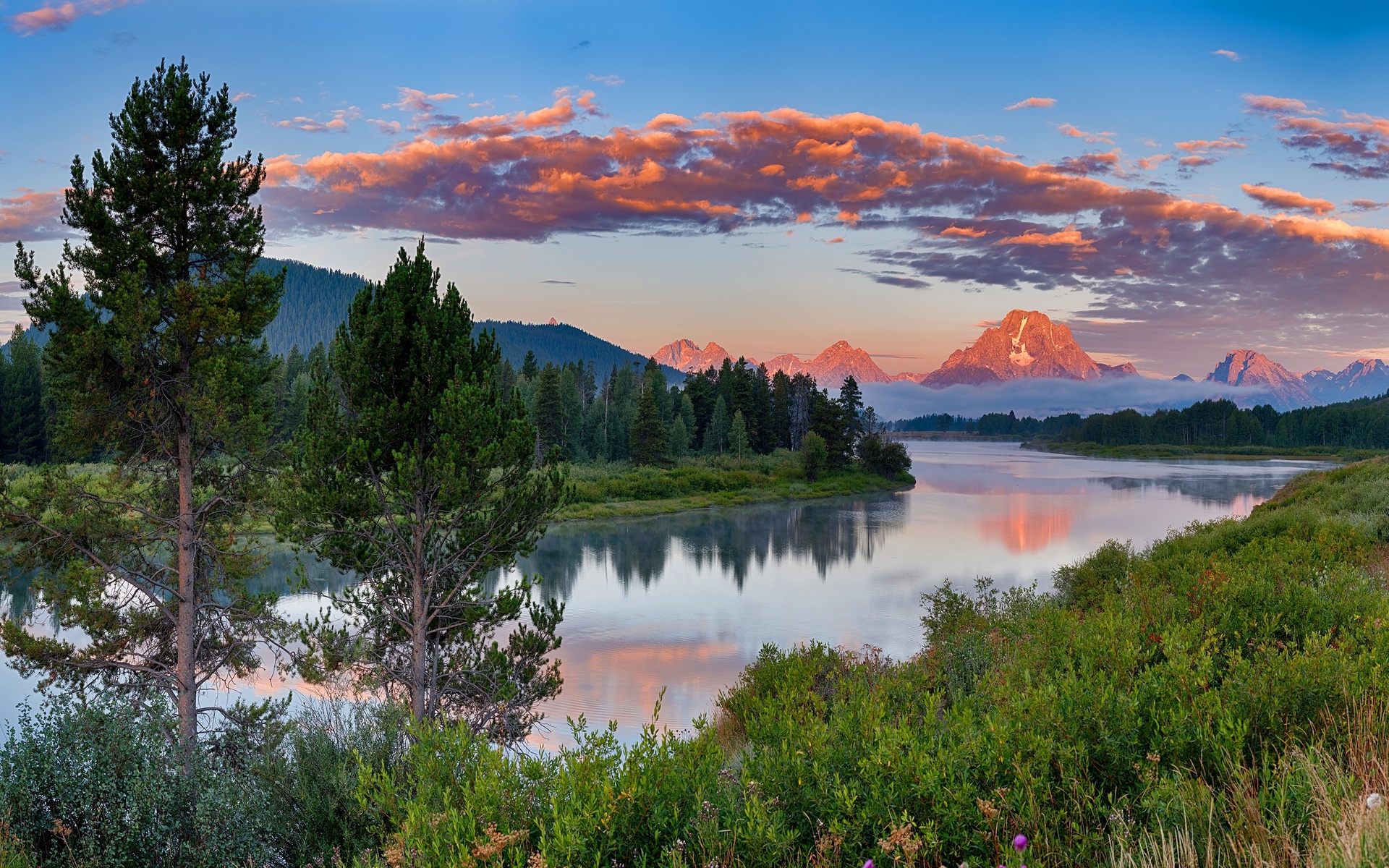 forest, grass, clouds, mountains, shore, tops, ate, usa, pond, grand teton national park