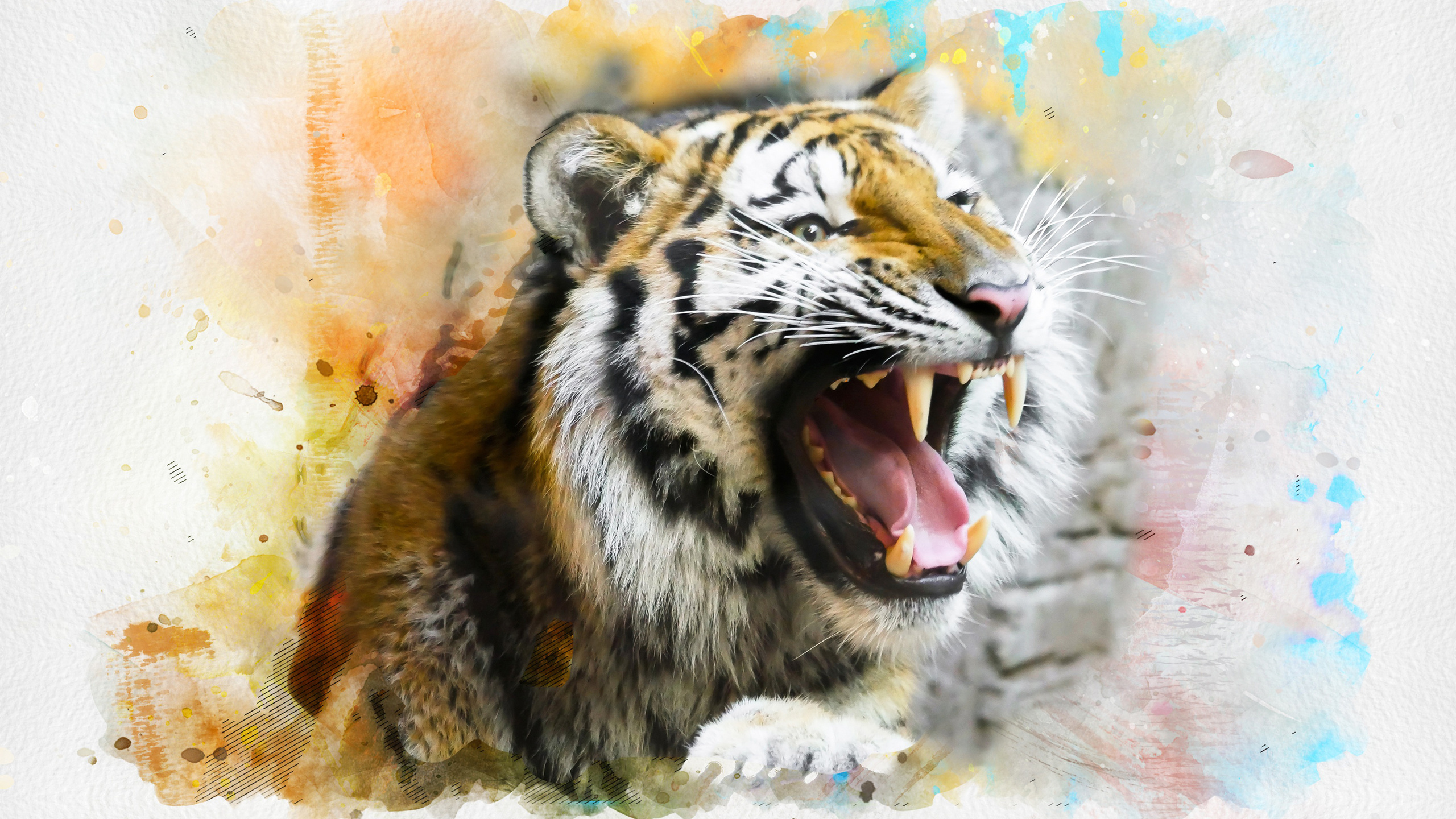 tiger, splash, art