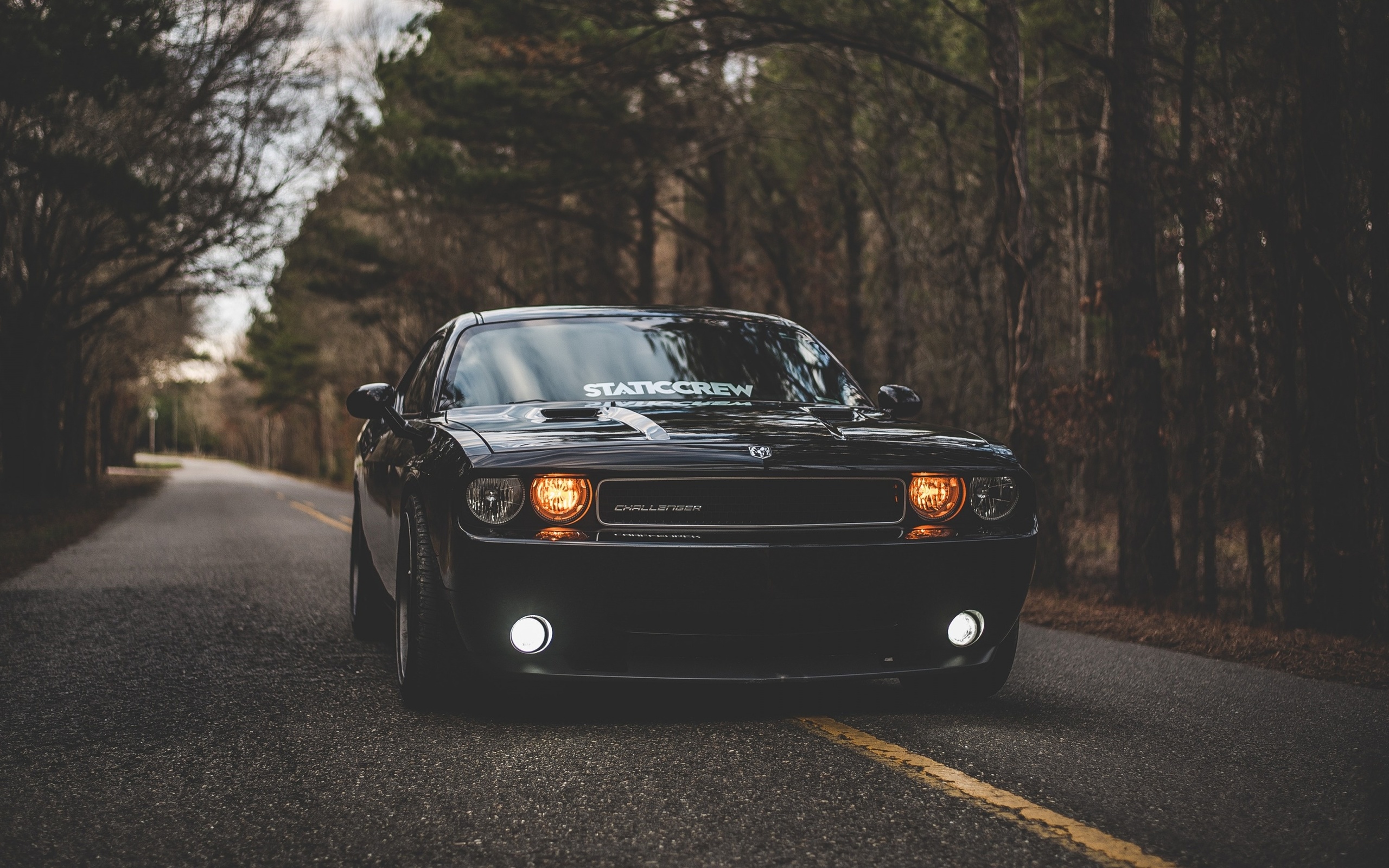 dodge, challenger, front view, black sports coupe