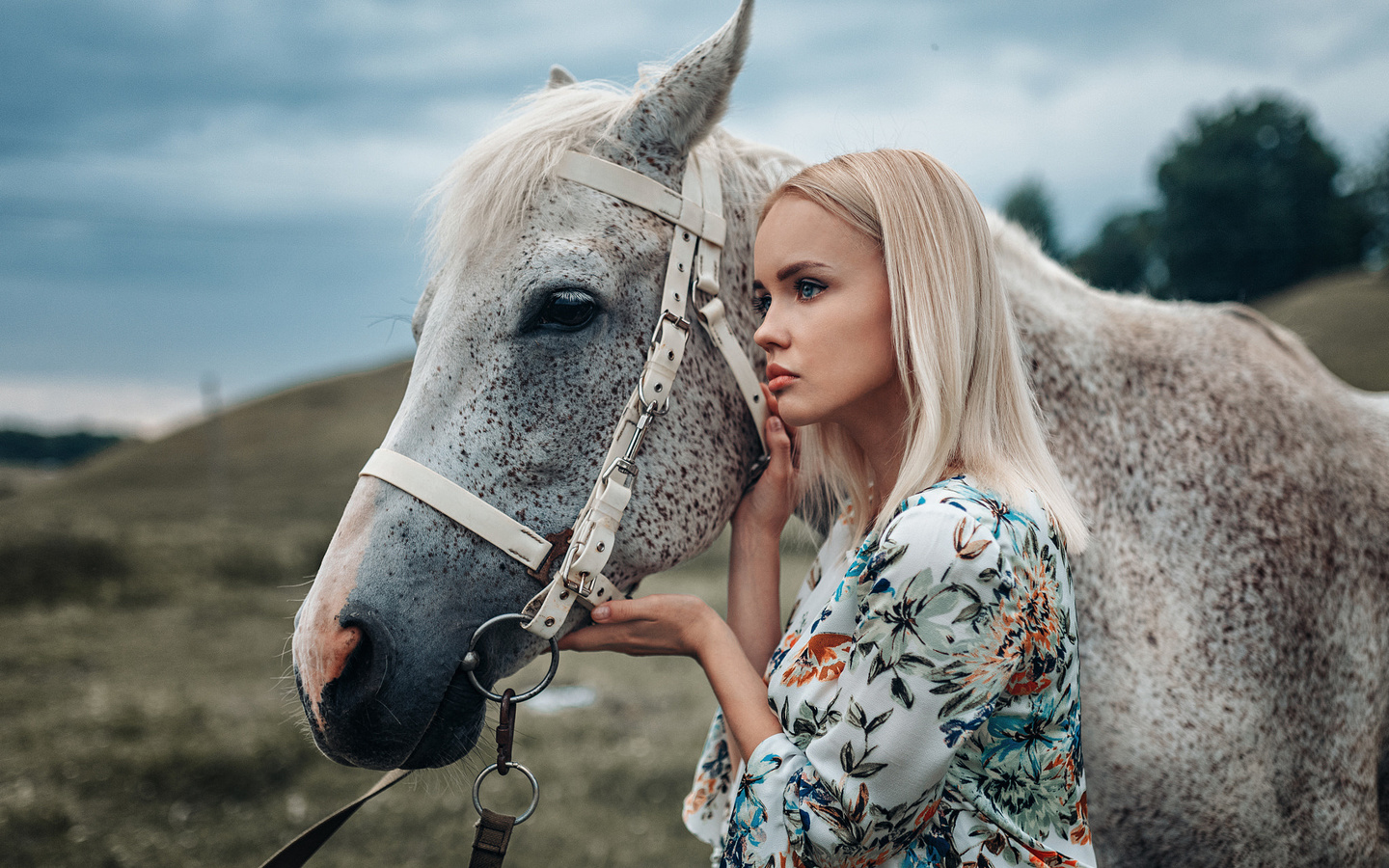 women, blonde, blue eyes, profile, women outdoors, horse, animals, phoenix21rus