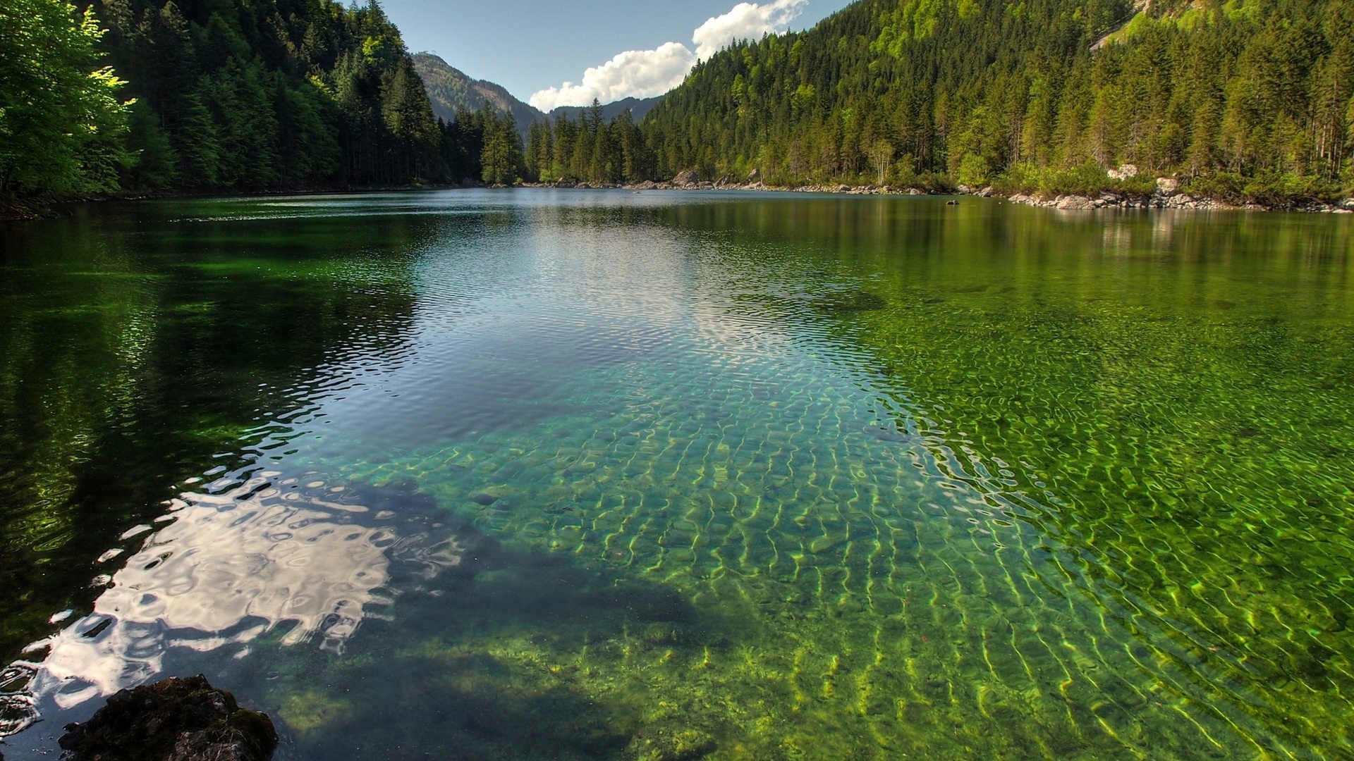 austria, lake, forest