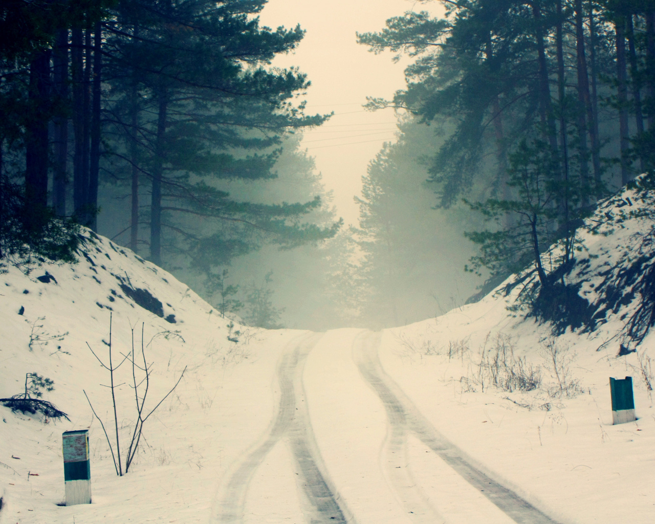 road, forest, snow, trees, branches, nature, fog, silence, frost, haze, pine, silhouettes, cold, the wheel marks,     ?,   ???