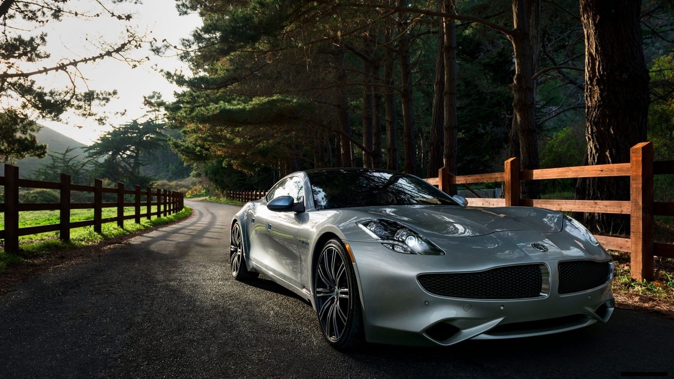 fisker, 