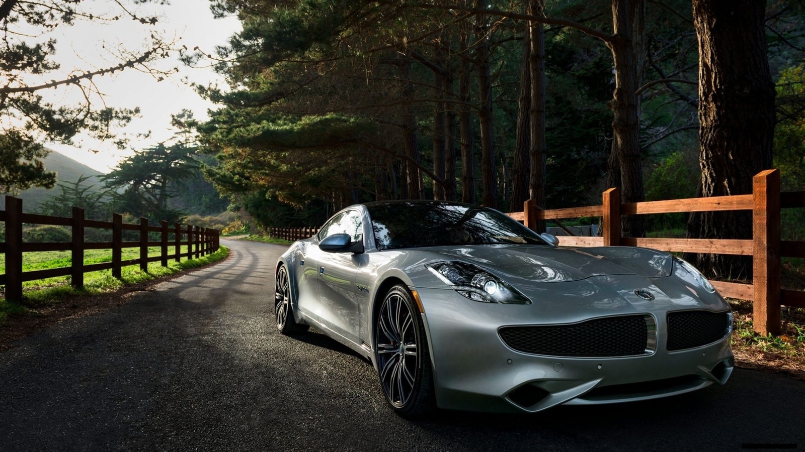 fisker, 