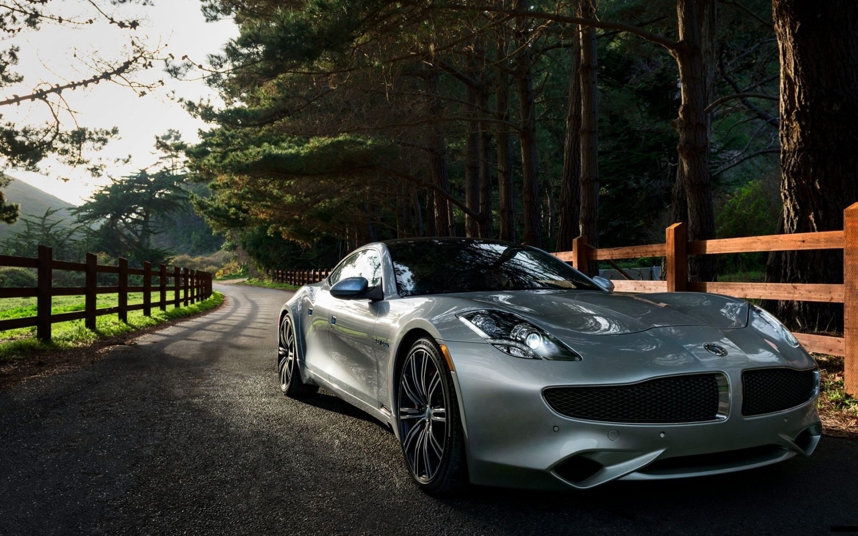 fisker, 