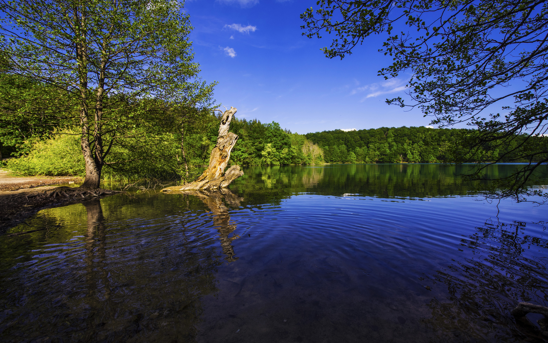 , , plitvice lakes, national park, , , 