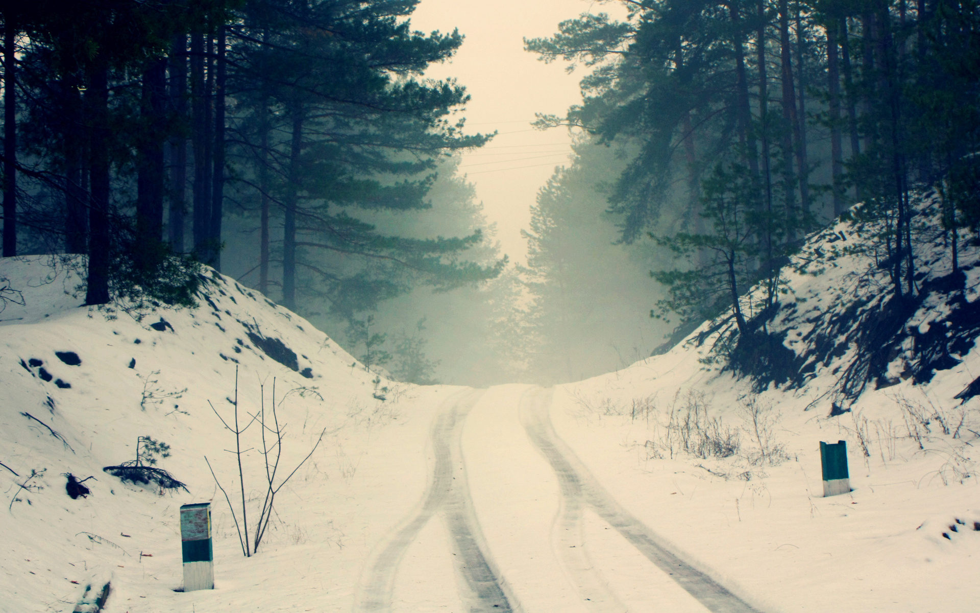 road, forest, snow, trees, branches, nature, fog, silence, frost, haze, pine, silhouettes, cold, the wheel marks,     ?,   ???