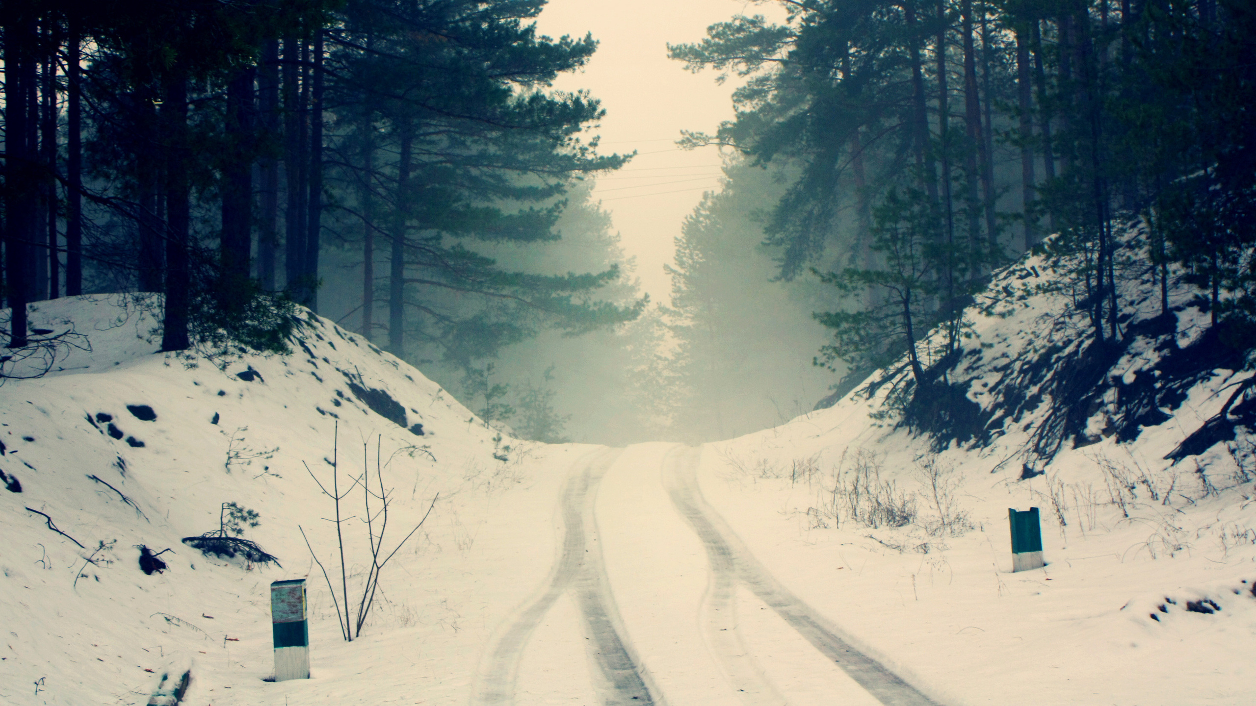 road, forest, snow, trees, branches, nature, fog, silence, frost, haze, pine, silhouettes, cold, the wheel marks,     ?,   ???