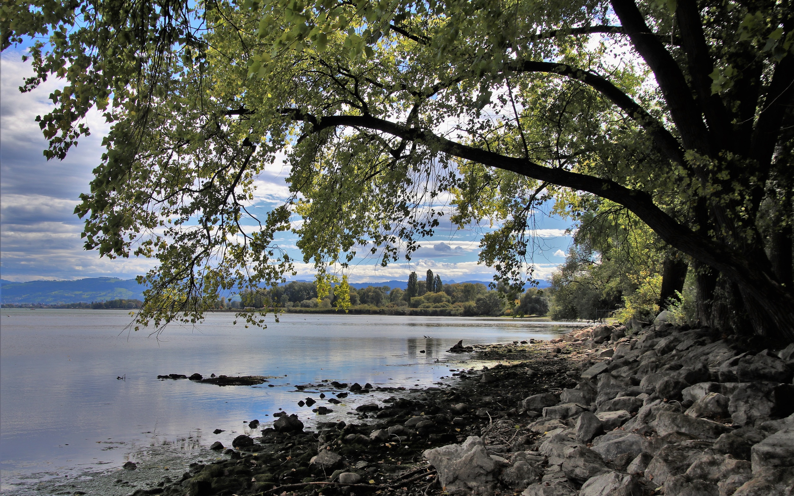 , ,  , , , bodensee