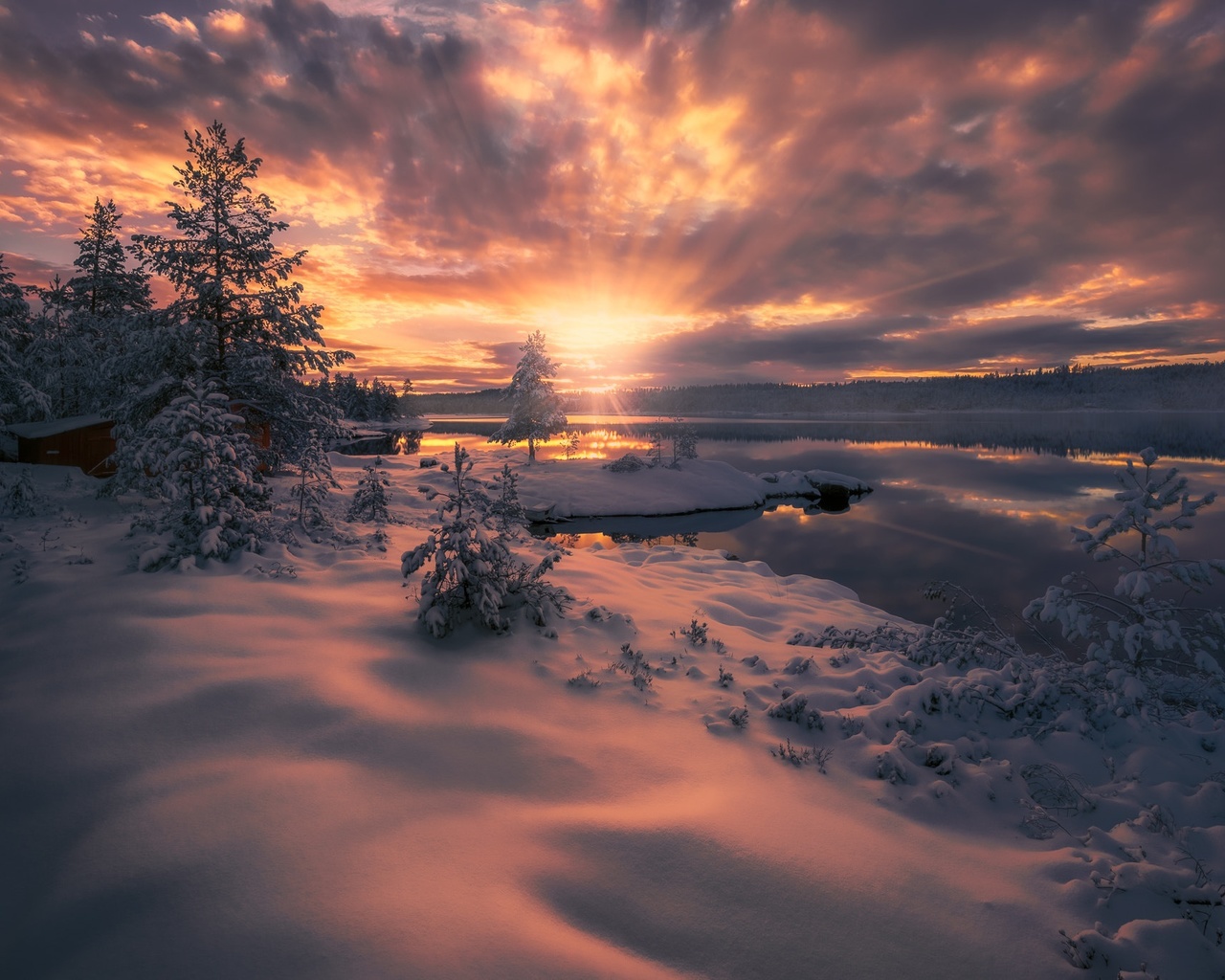 , , , , , , , , , , , , norway, ringerike, ole henrik skjelstad