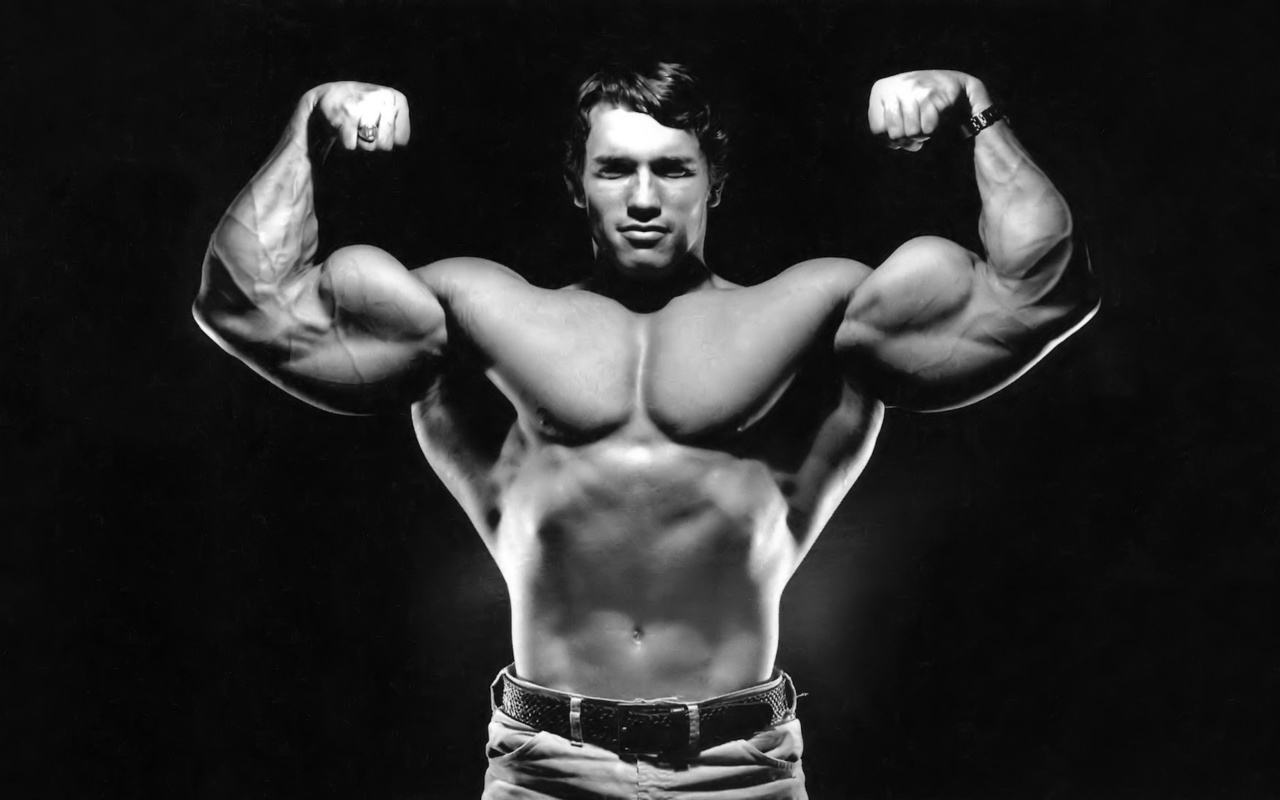 arnold schwarzenegger, 