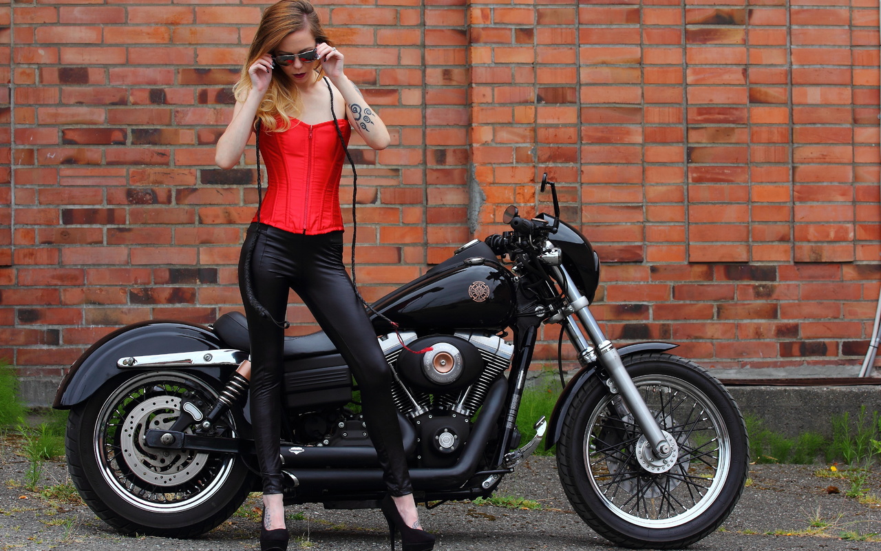 harley davidson, , 