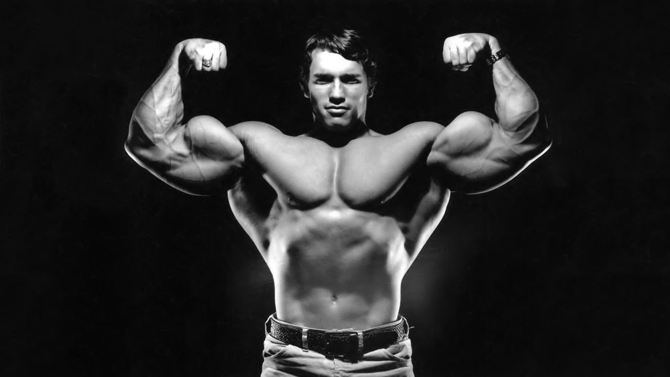 arnold schwarzenegger, 