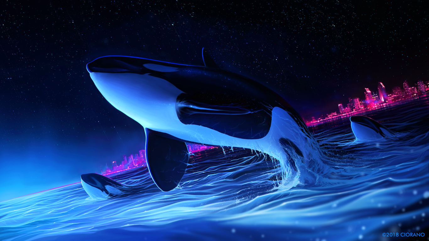 dolphin, night, orca, whale, digital art