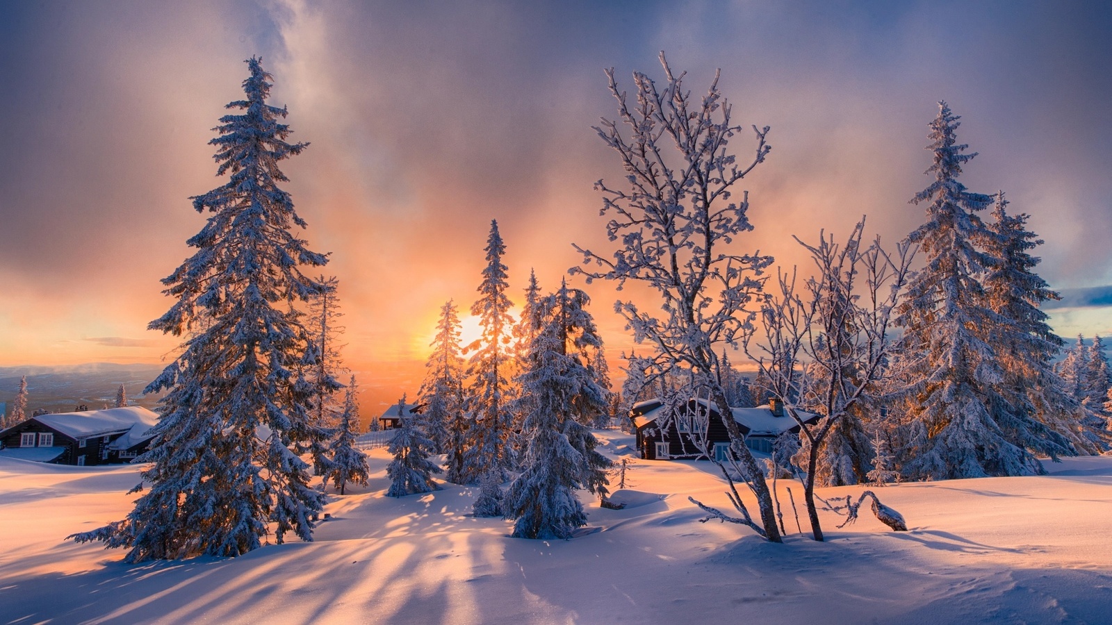 , , , , , , , , , , , allan pedersen, jorn allan pedersen