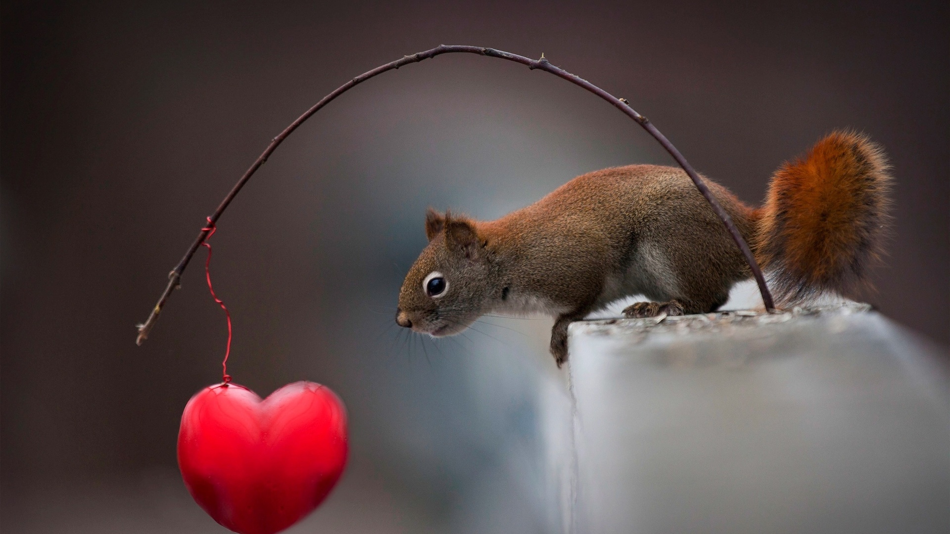 , , , , , , , andre villeneuve