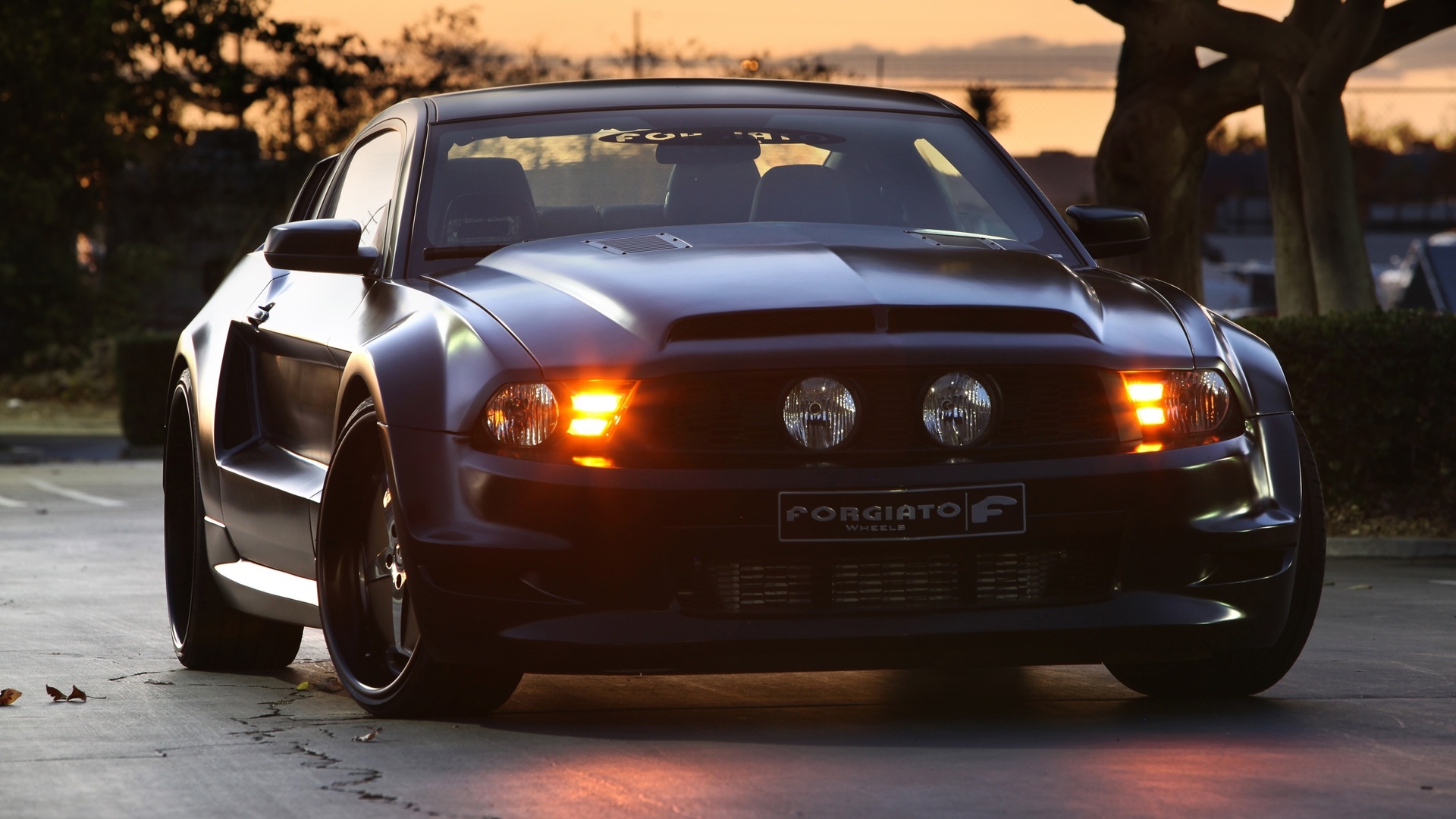 ford, mustang, gt, , forgiato