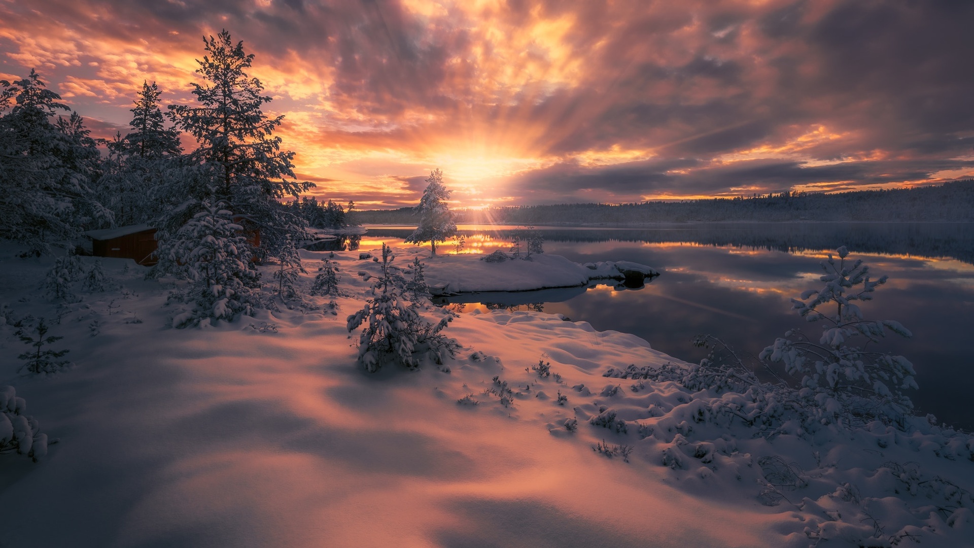 , , , , , , , , , , , , norway, ringerike, ole henrik skjelstad