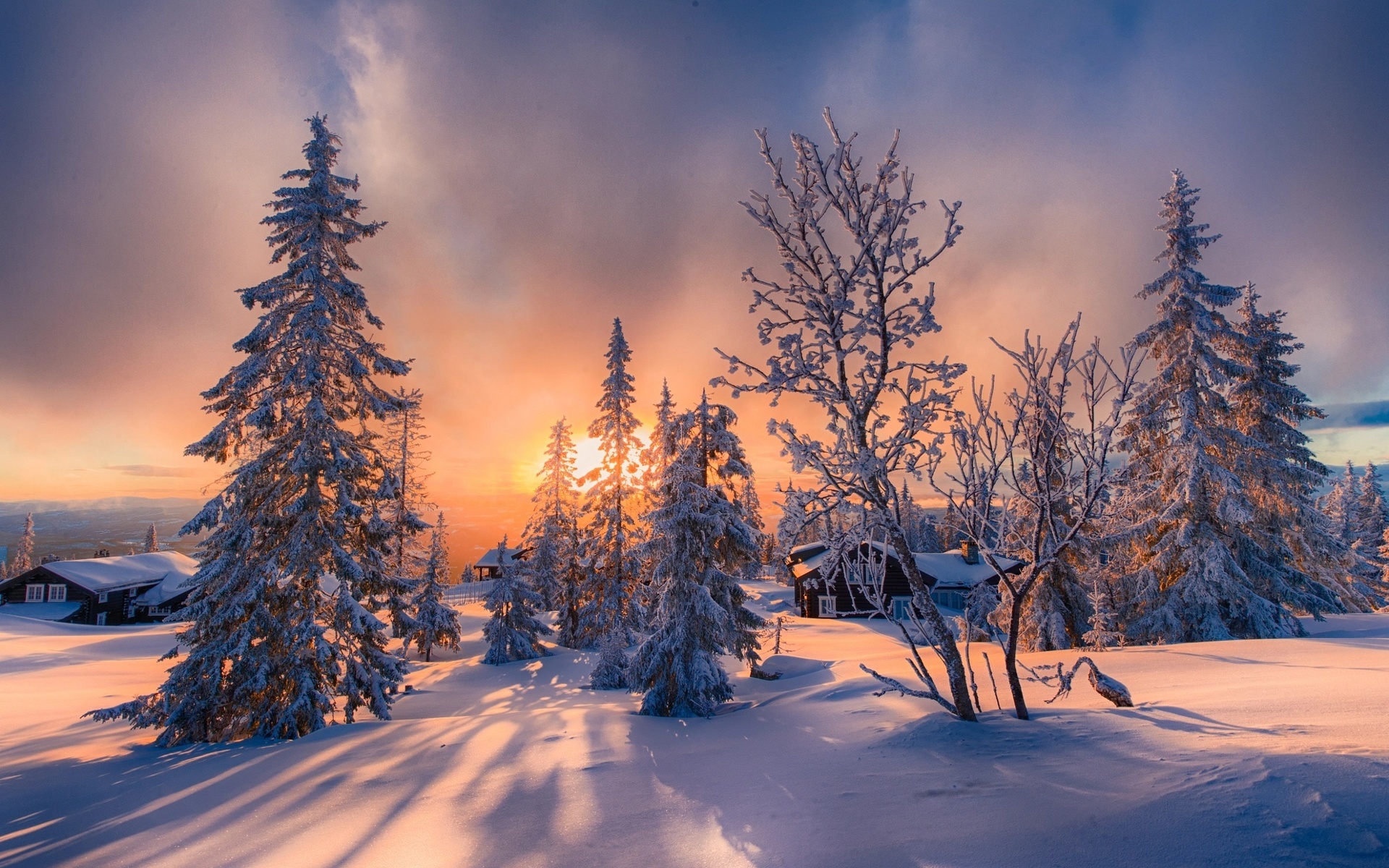 , , , , , , , , , , , allan pedersen, jorn allan pedersen