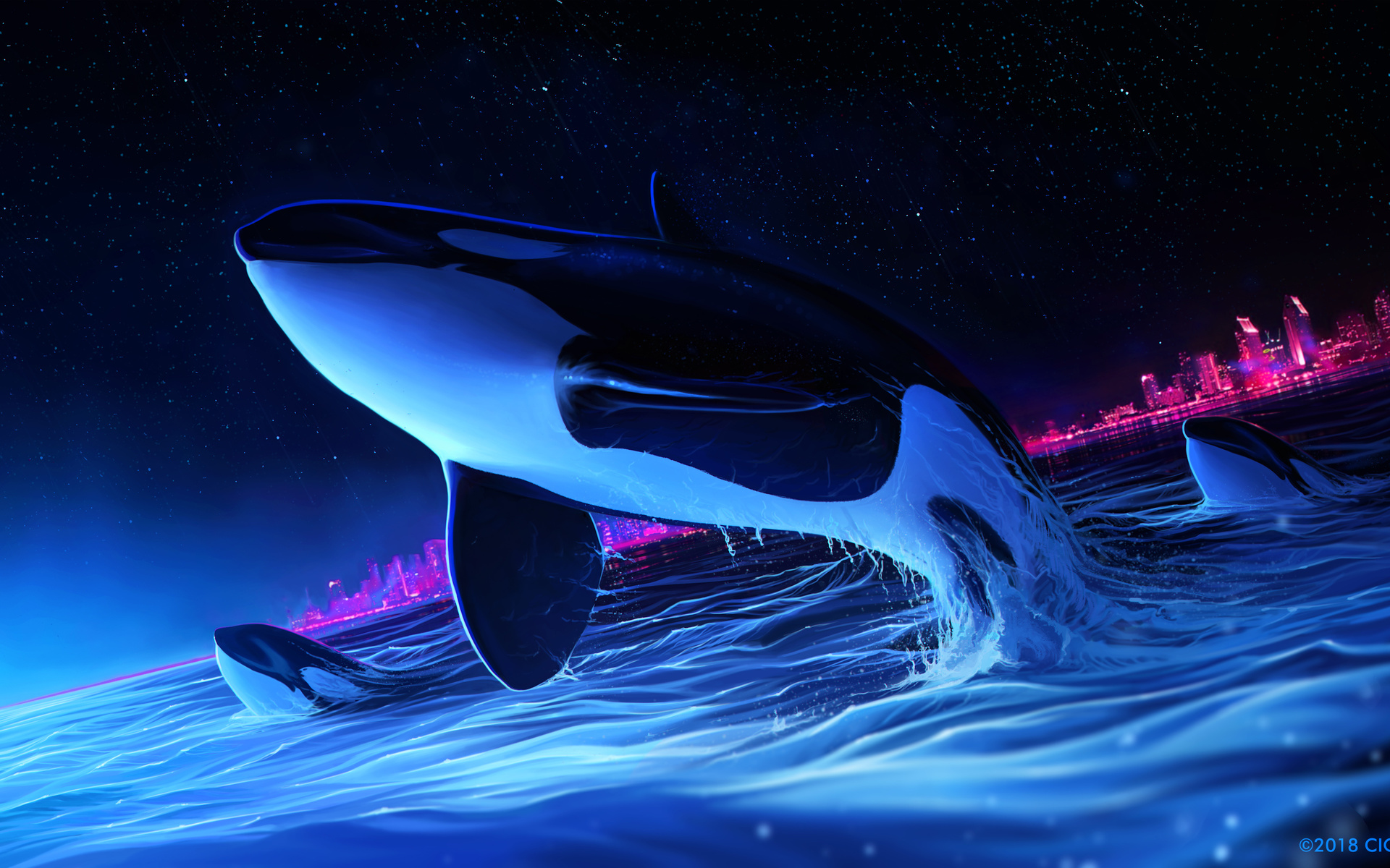 dolphin, night, orca, whale, digital art