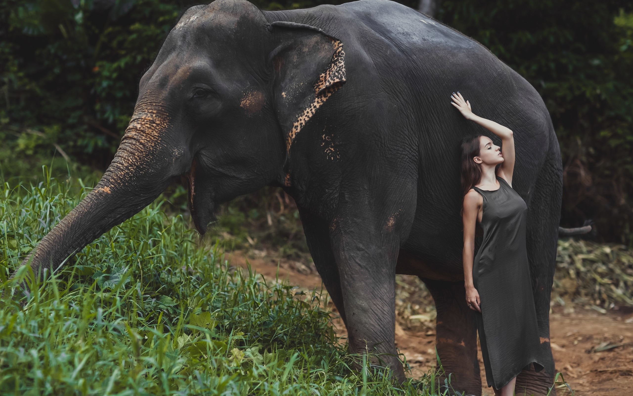 elephant, animals, model, women outdoors, ivan chinilov