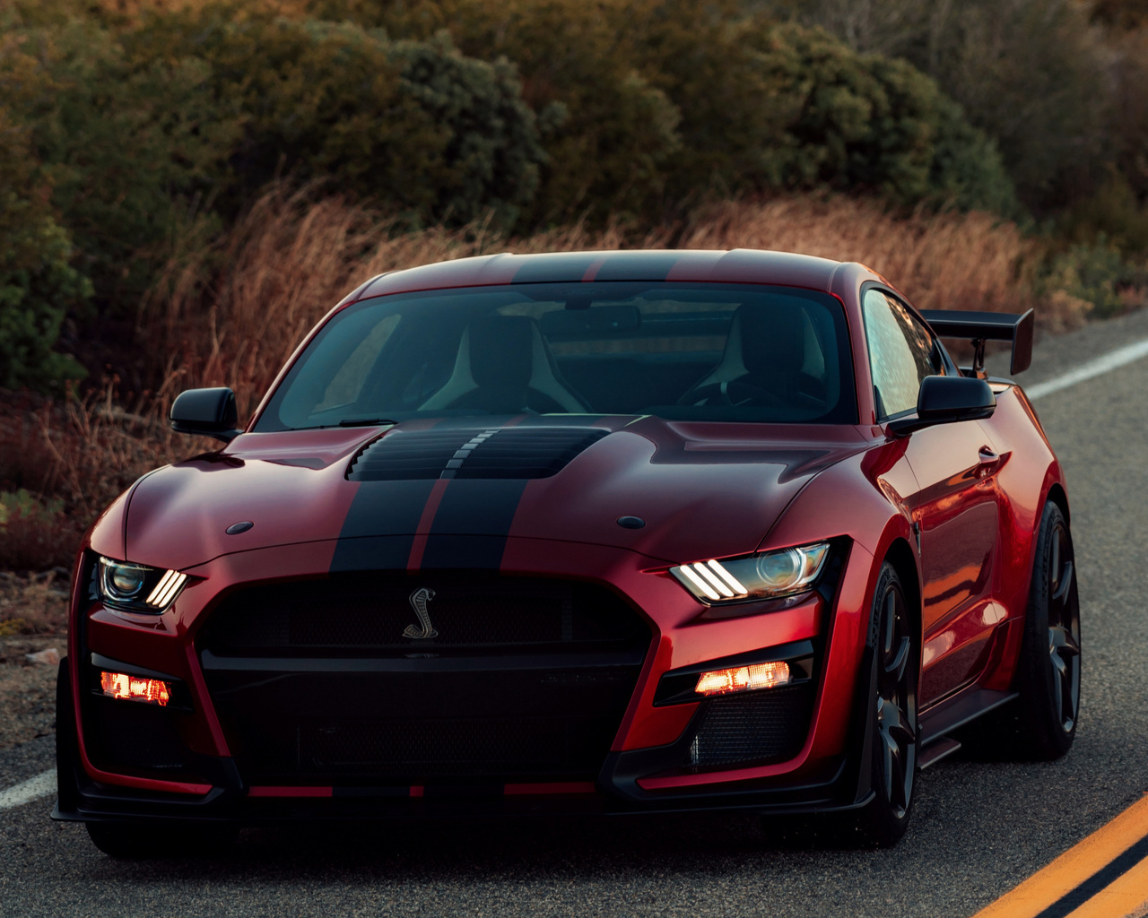 ford, mustang, shelby, gt500, red