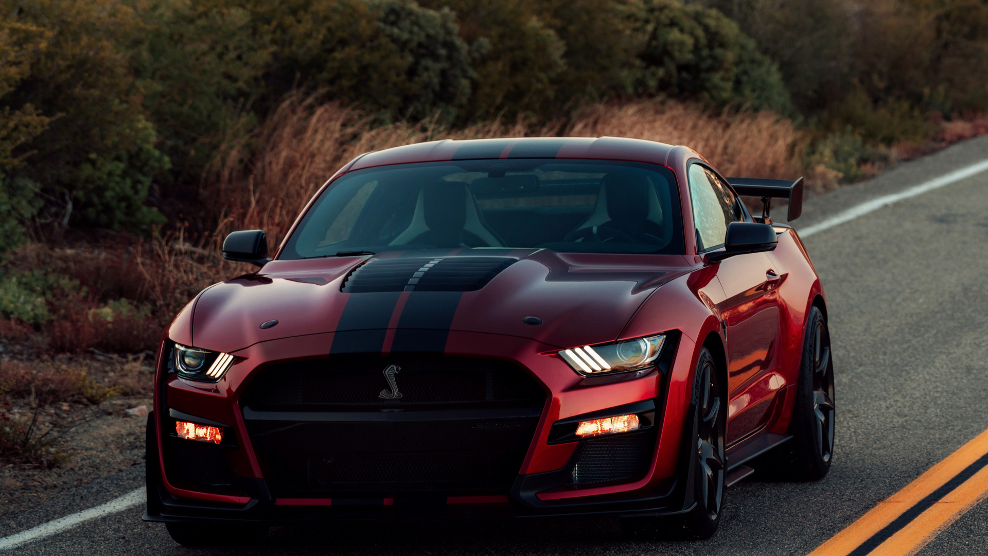 ford, mustang, shelby, gt500, red