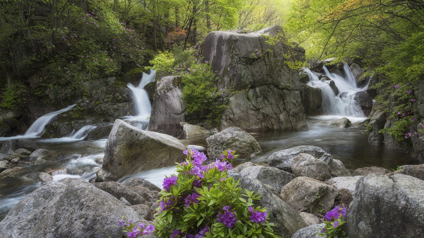 , , , , , , , , , , , jae youn ryu