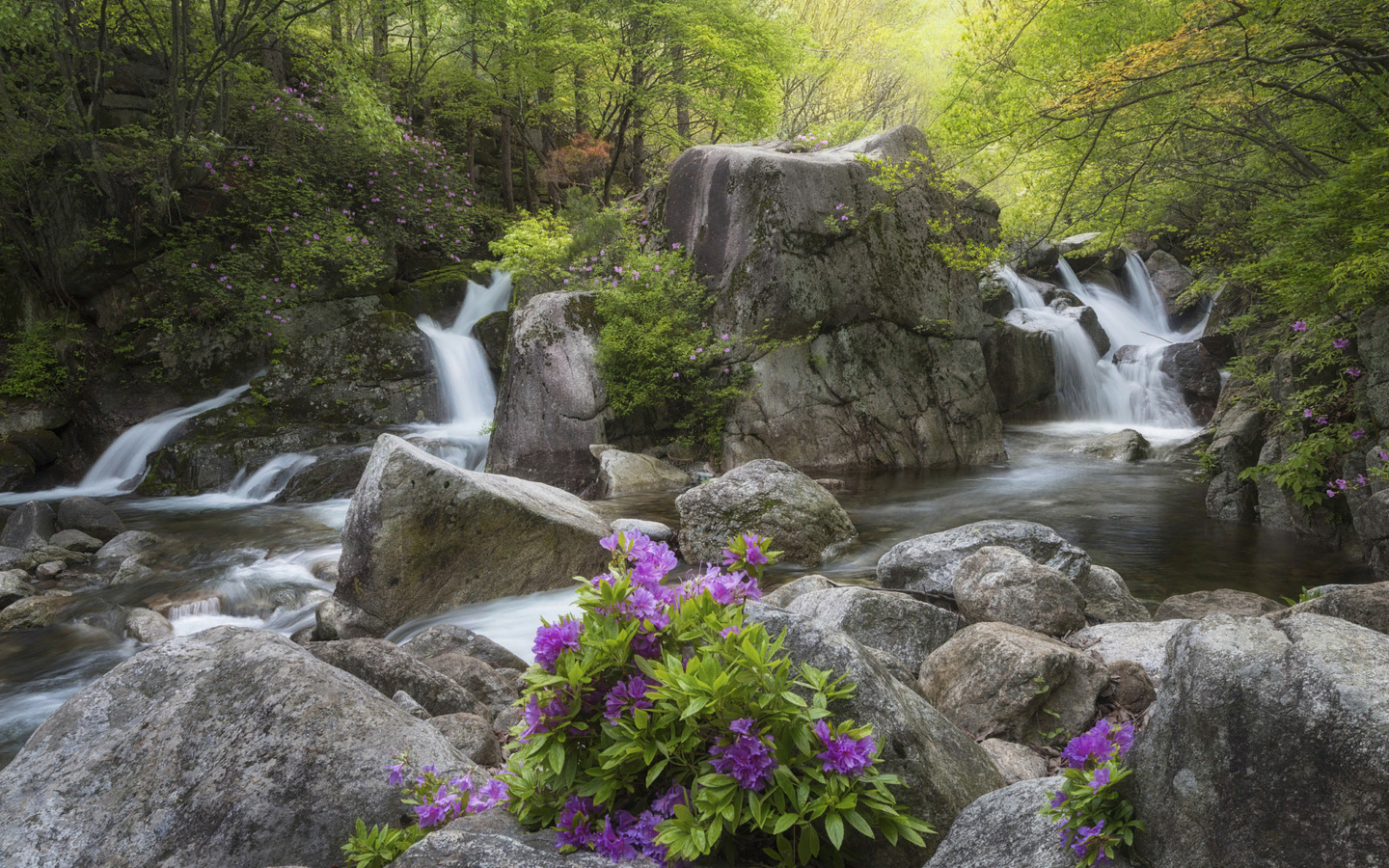 , , , , , , , , , , , jae youn ryu