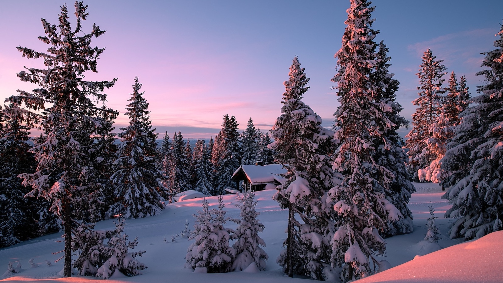 , , , , , , allan pedersen, , , 