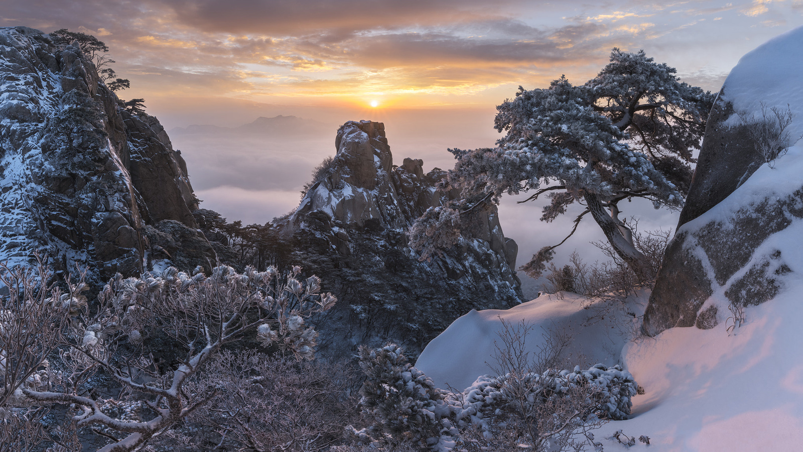 , , , , , , , , , , , , , jae youn ryu, 