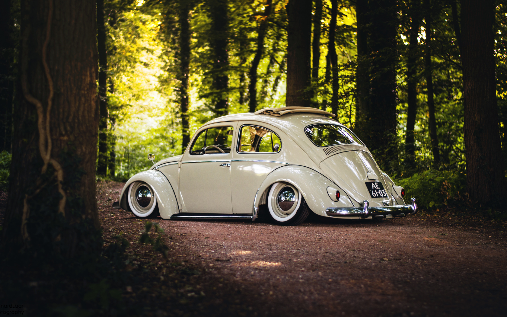 volkswagen, beetle