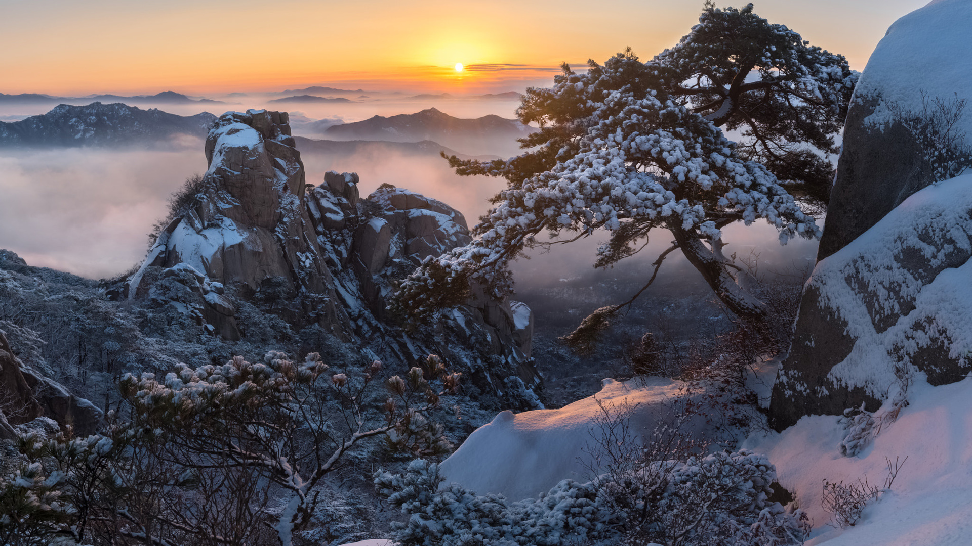 , , , , , , , , , , , , , , , jae youn ryu, 