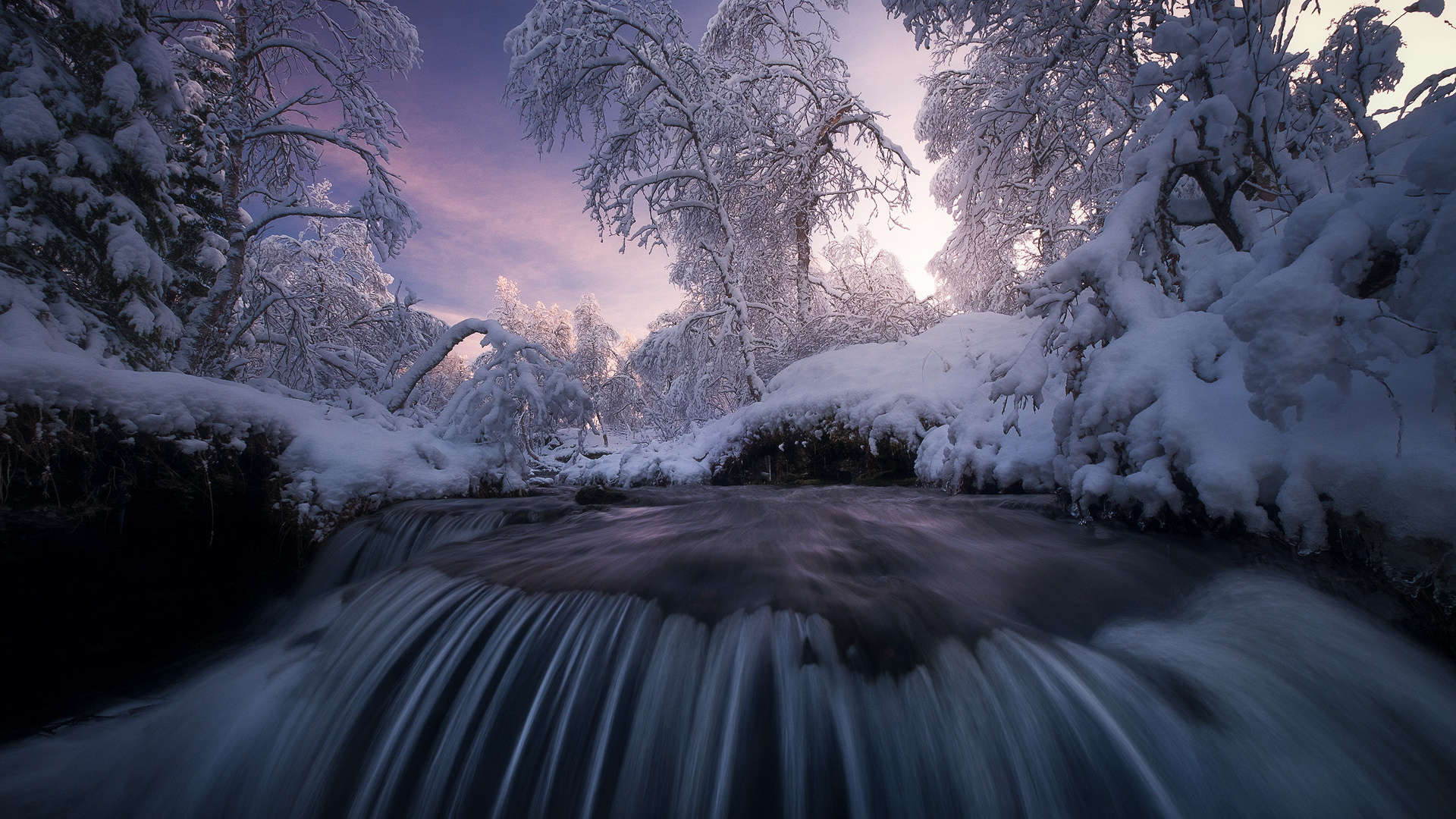 , , , , , , , , , , , arild heitmann