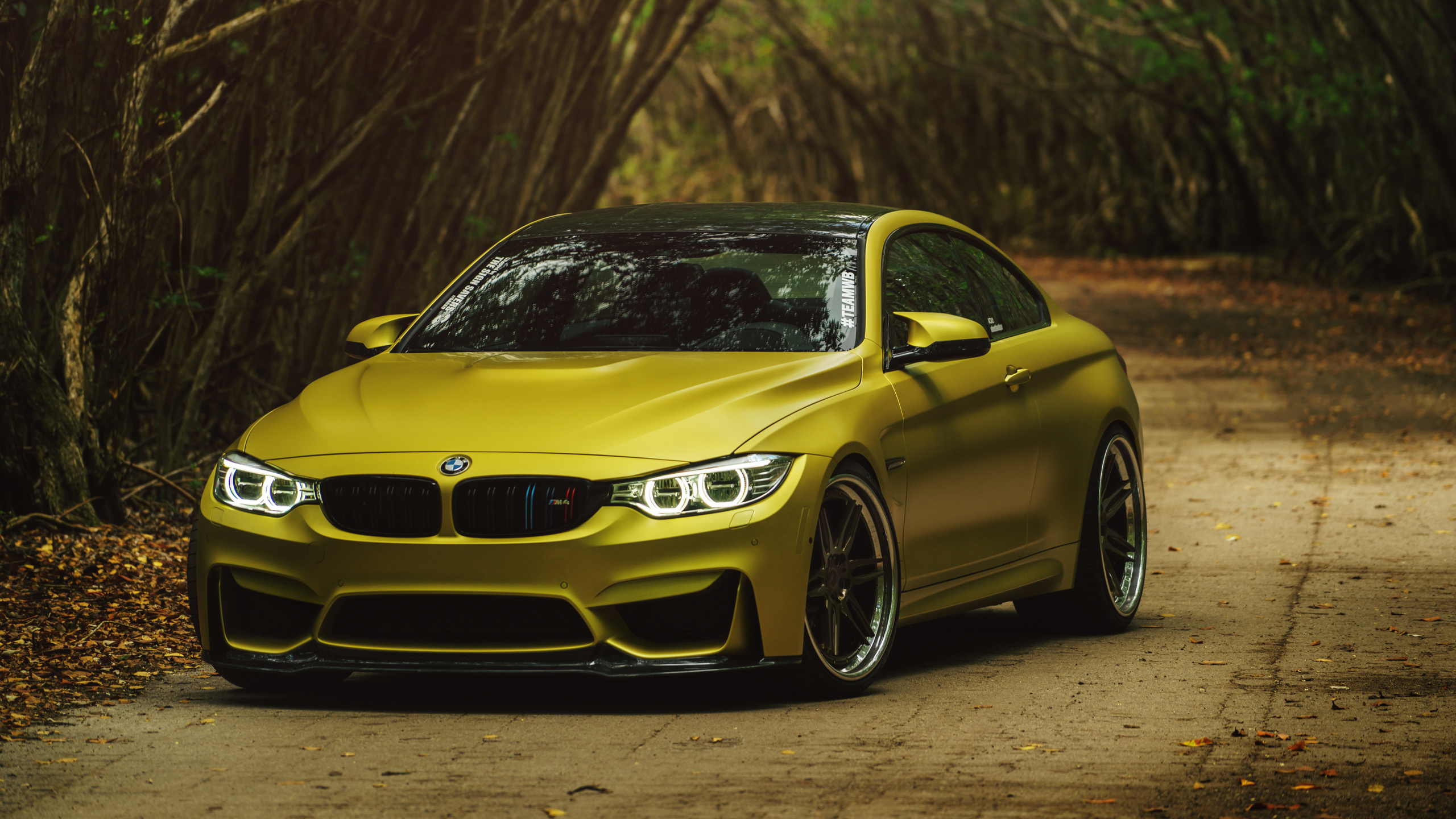 adv1, ss, austin, yellow, bmw, m4