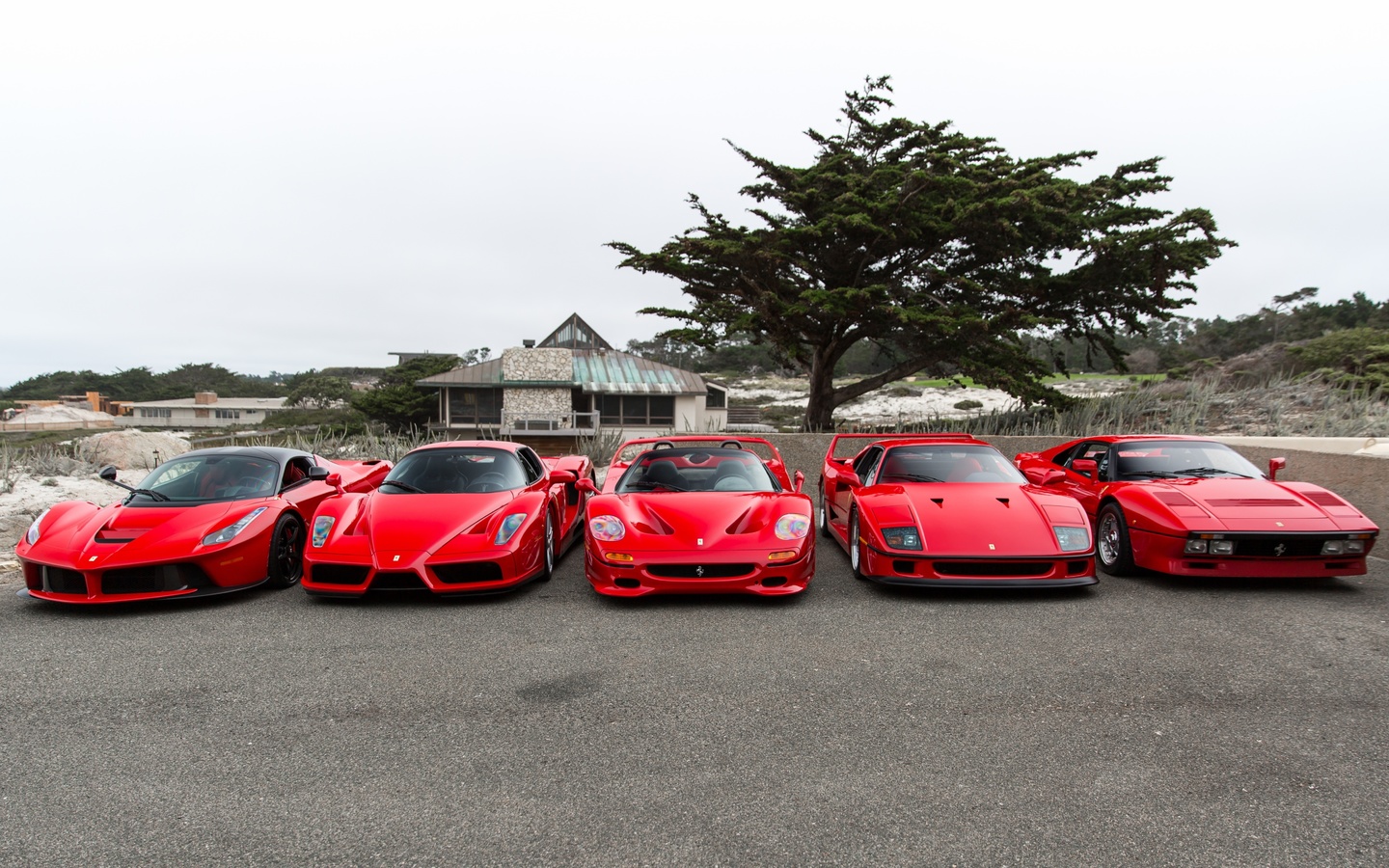 auto, red, hd autos, ferrari f40 enzo italia red f50 laferrari 288 gto, italia, enzo, laferrari, cars, 288 gto, f50, ferrari, f40