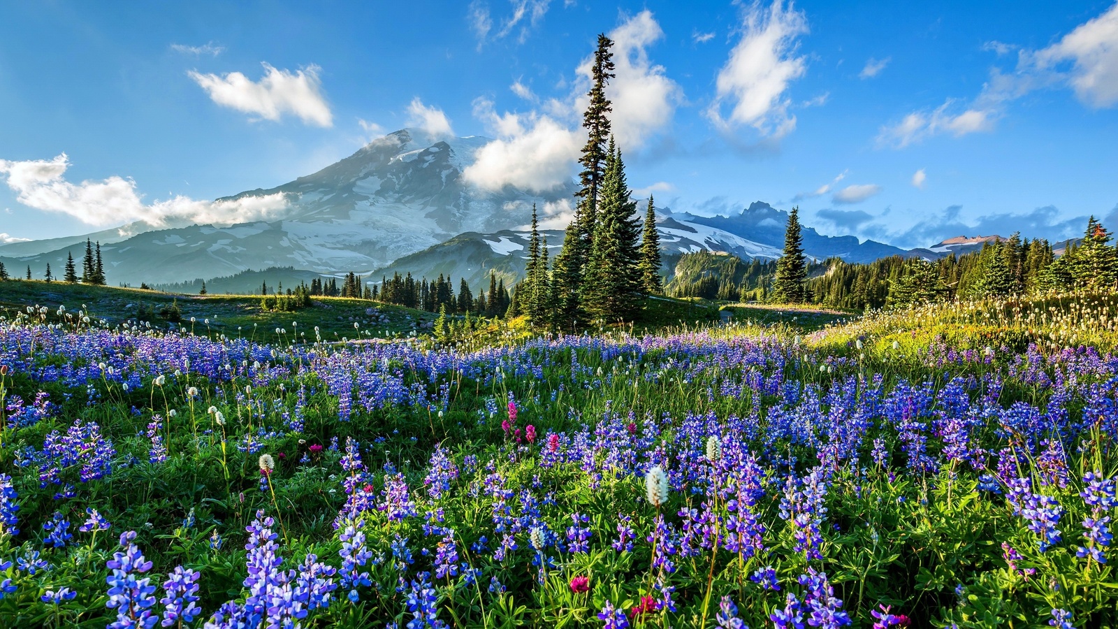 , , , , mount rainier national park, ,   -