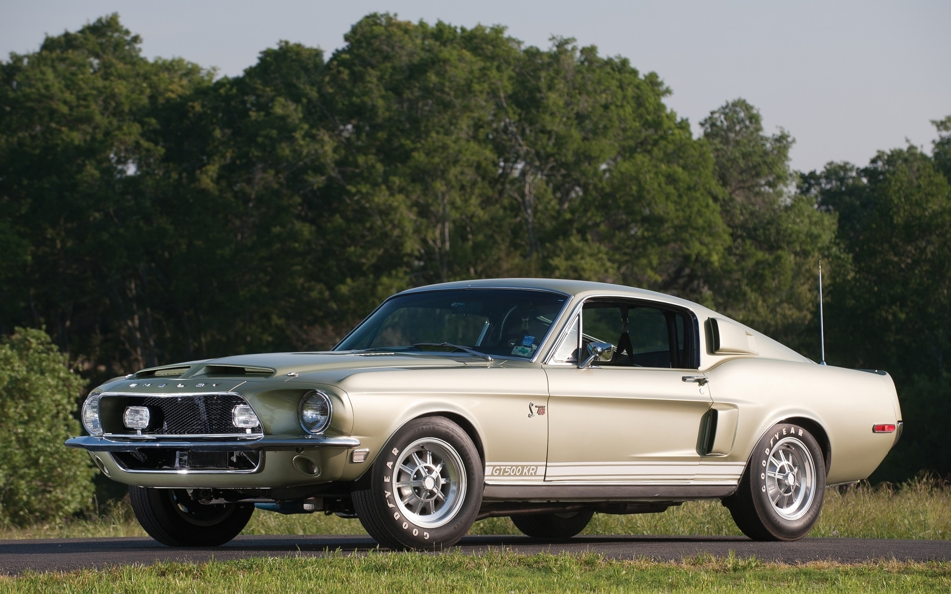 ford, shelby, gt500, 1968