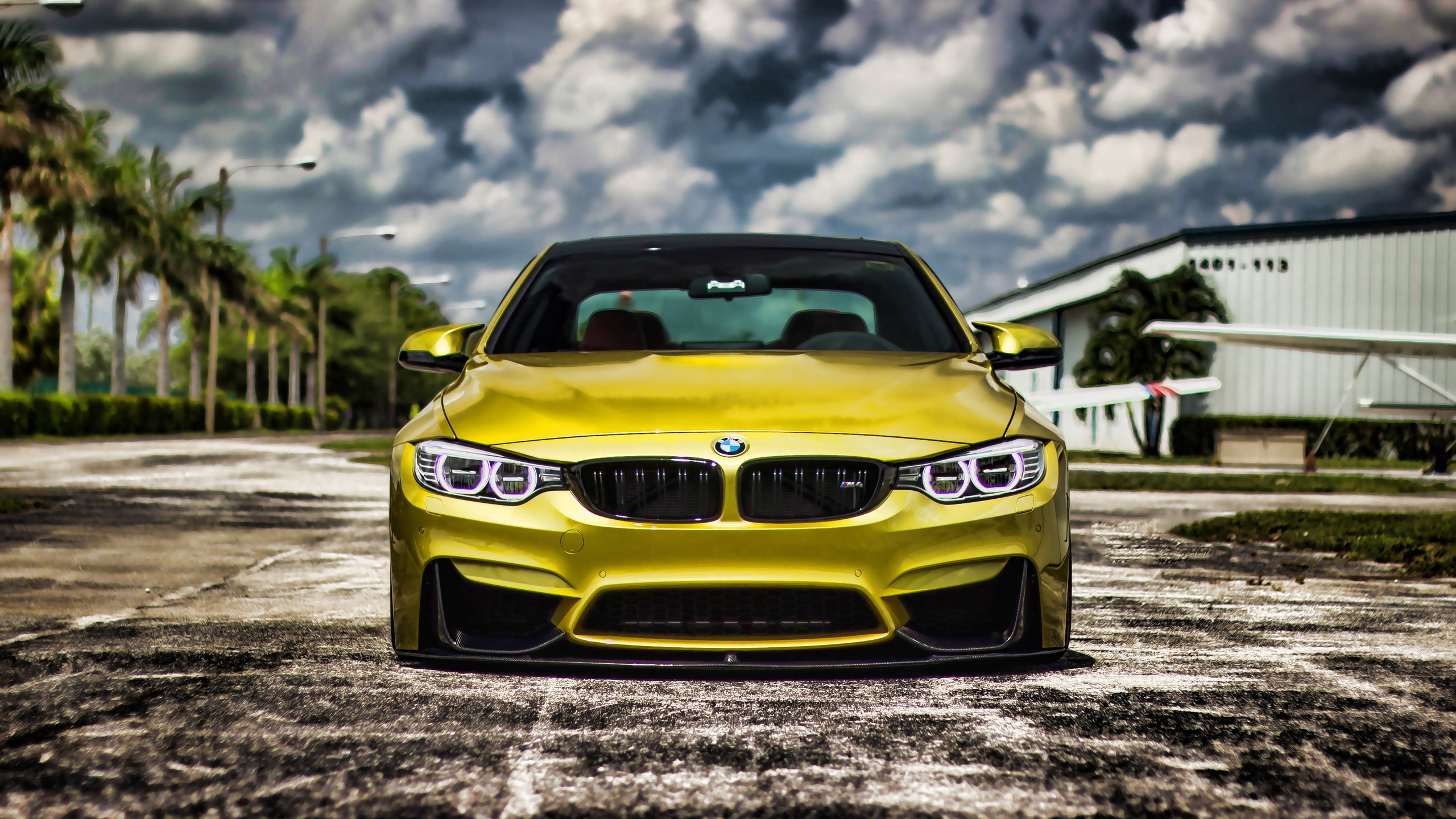 bmw, m4,  , hdr, tuning, f82, cars, bmw f82, golden