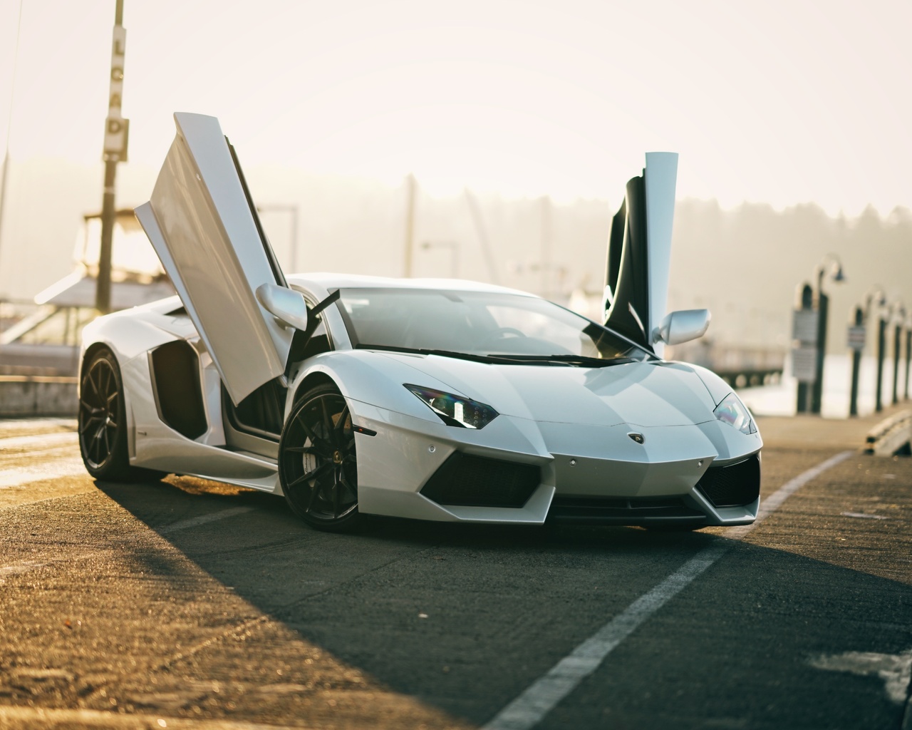 white, lamborghini, aventador