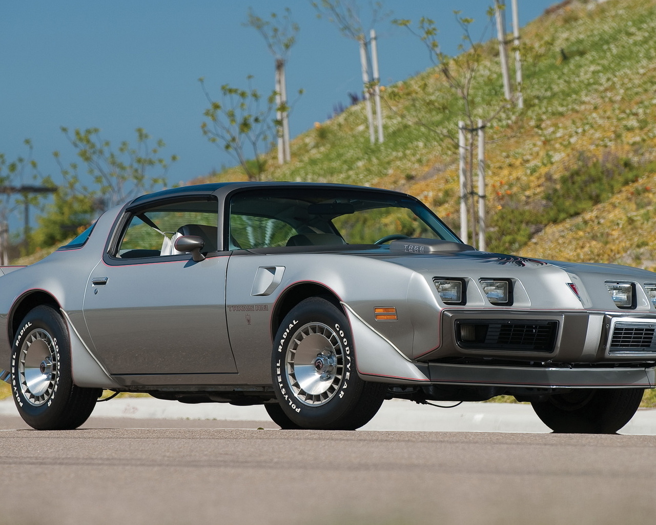 pontiac, firebird, 1979, trans am