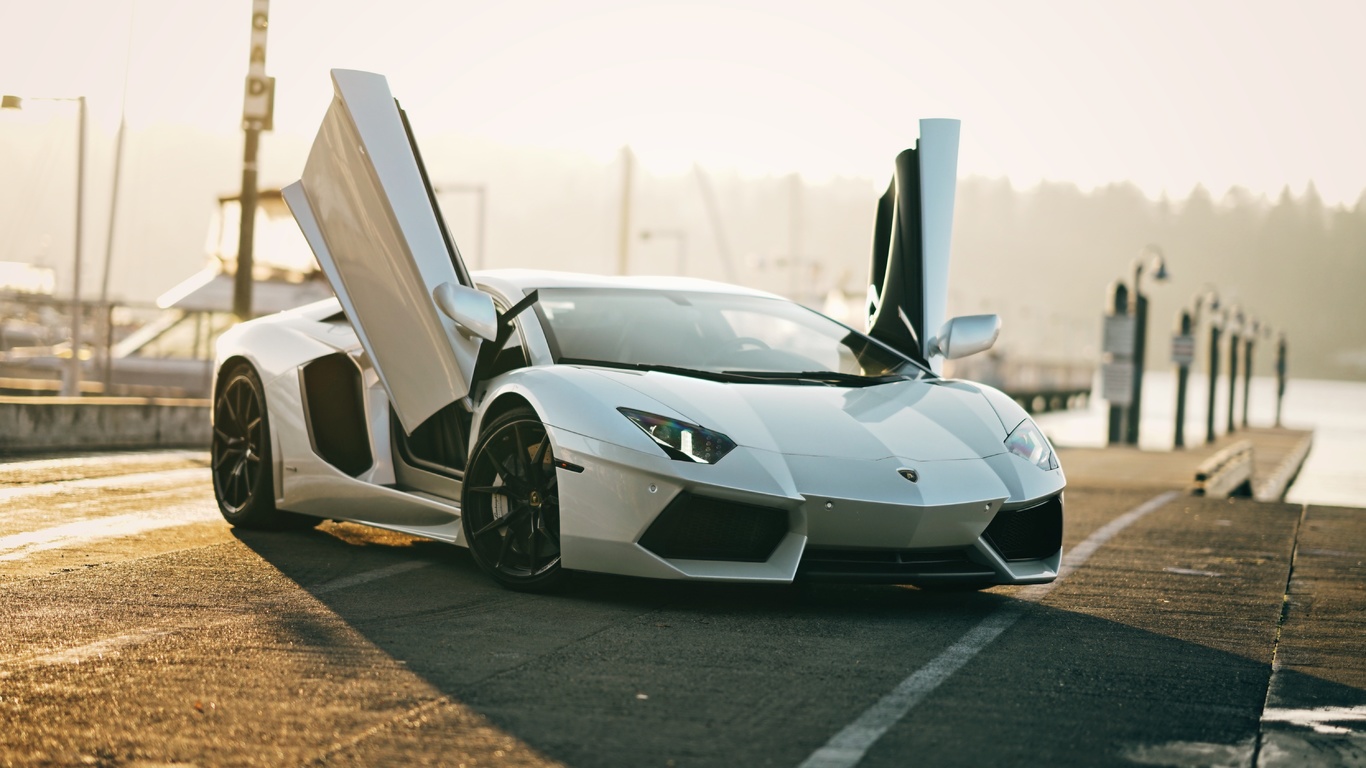 white, lamborghini, aventador