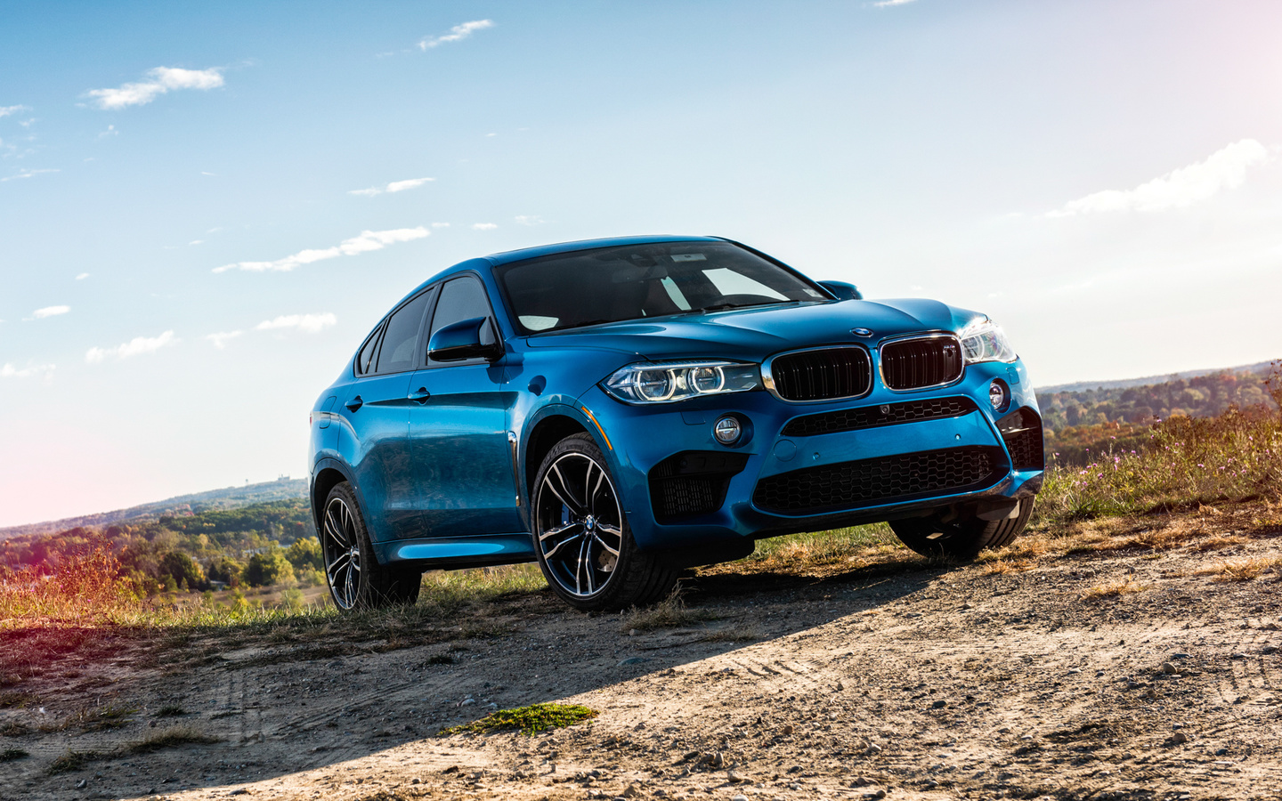 , bmw, x6m, , f86